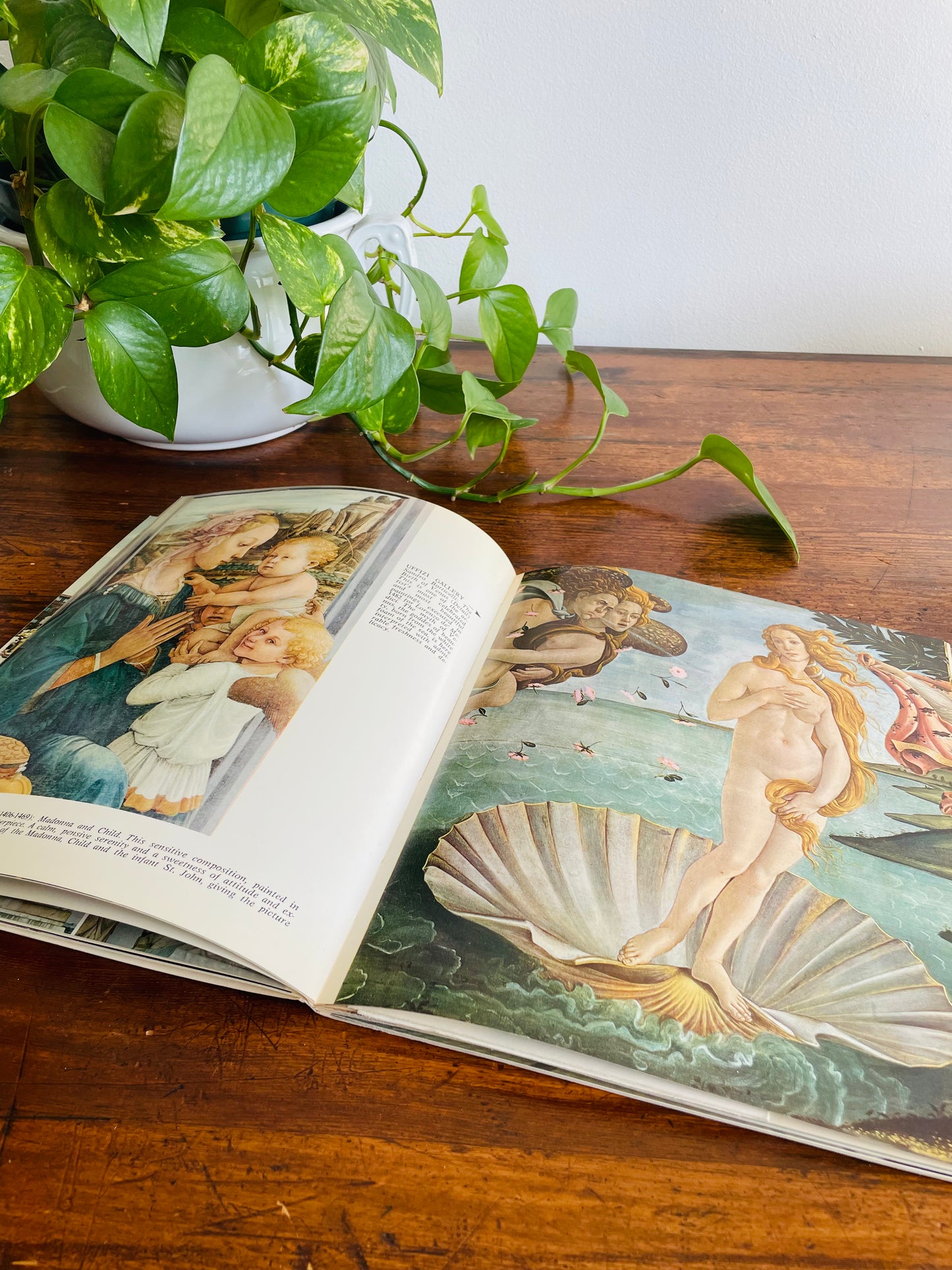Florence The City of Art Book with 100 Kodak Coloured Plates (1971)