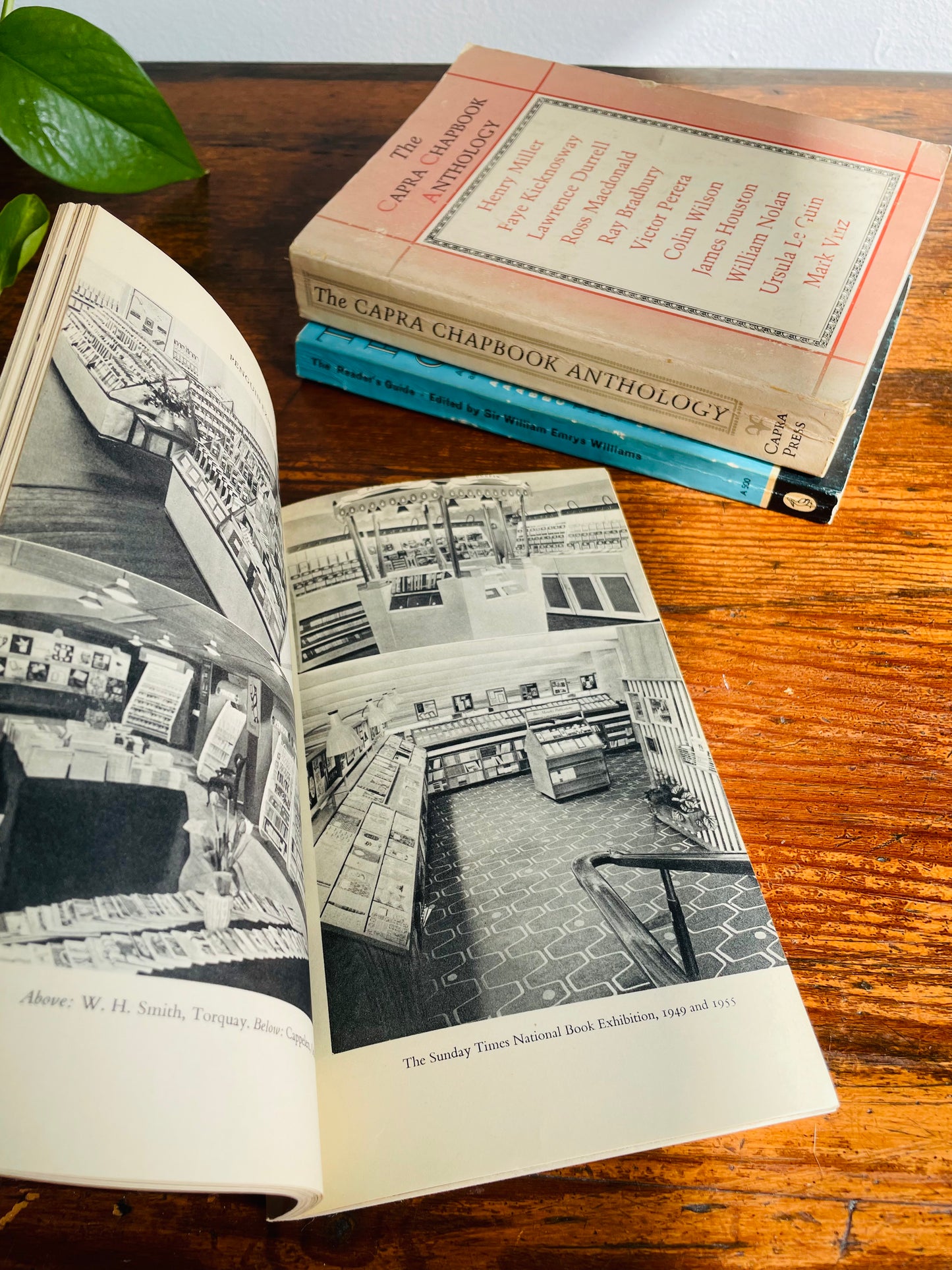Literature Vintage Book Bundle - Capra Chapbook, Reader's Guide, Penguin Publishing History
