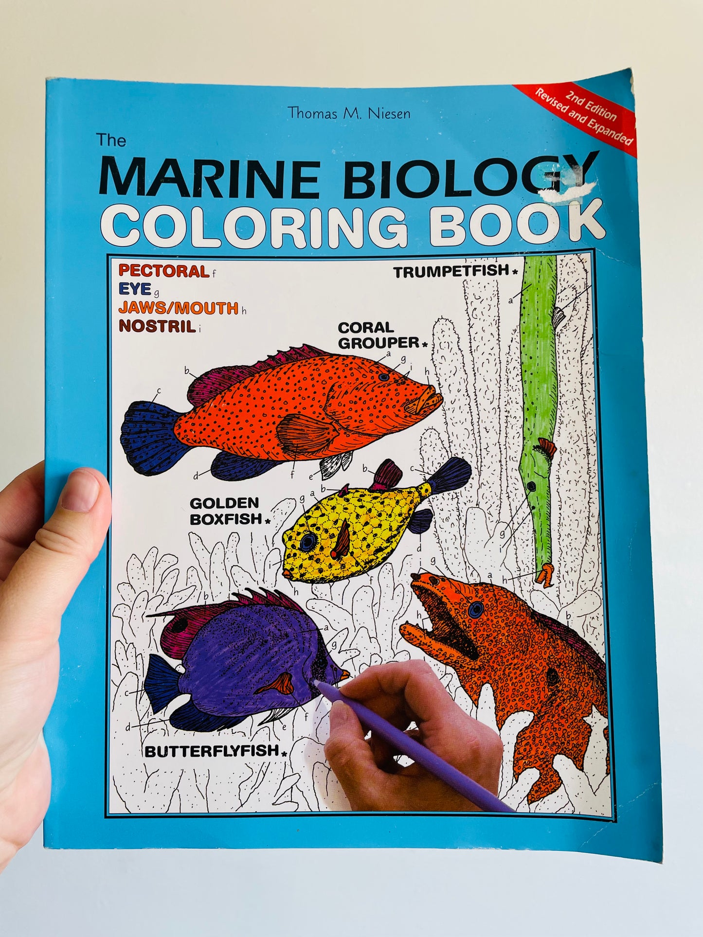 The Marine Biology Coloring Book by Thomas M. Niesen (2000)