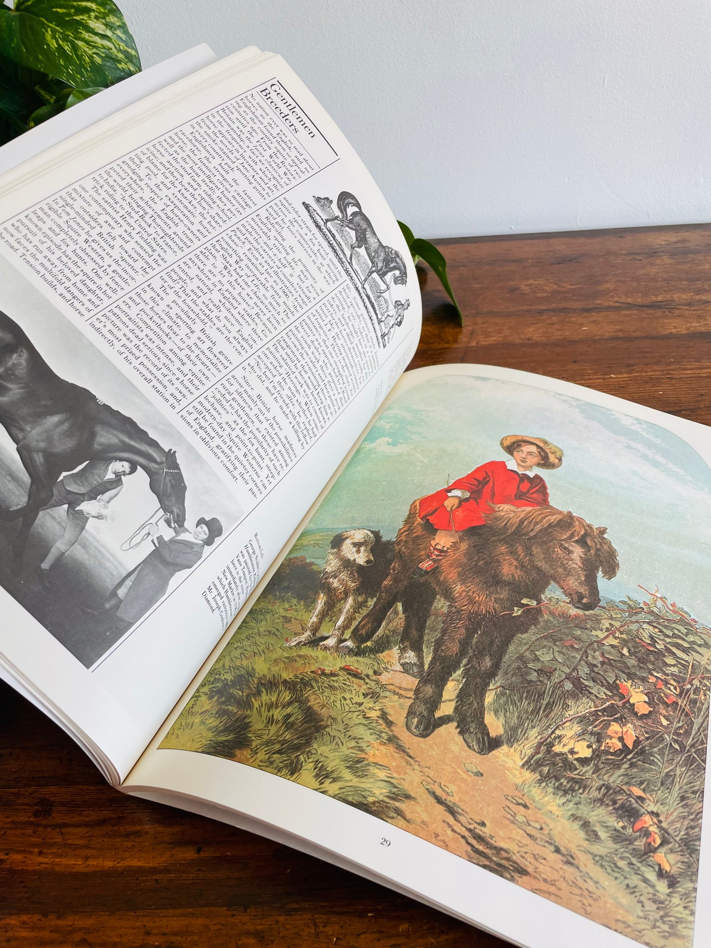 The Illustrated Horse Book by Jean-Claude Suares & Charles Stephen (1979)