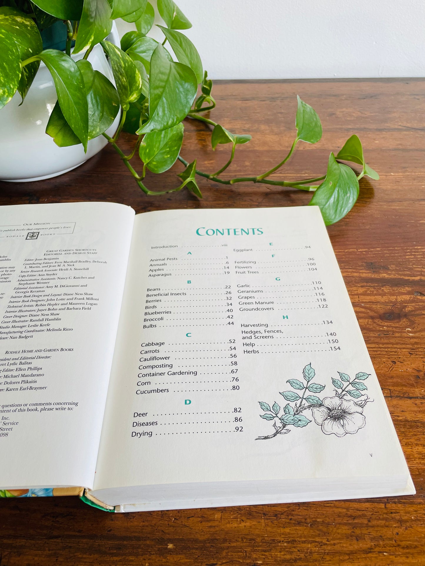Great Garden Shortcuts by Rodale Press Hardcover Book (1996)