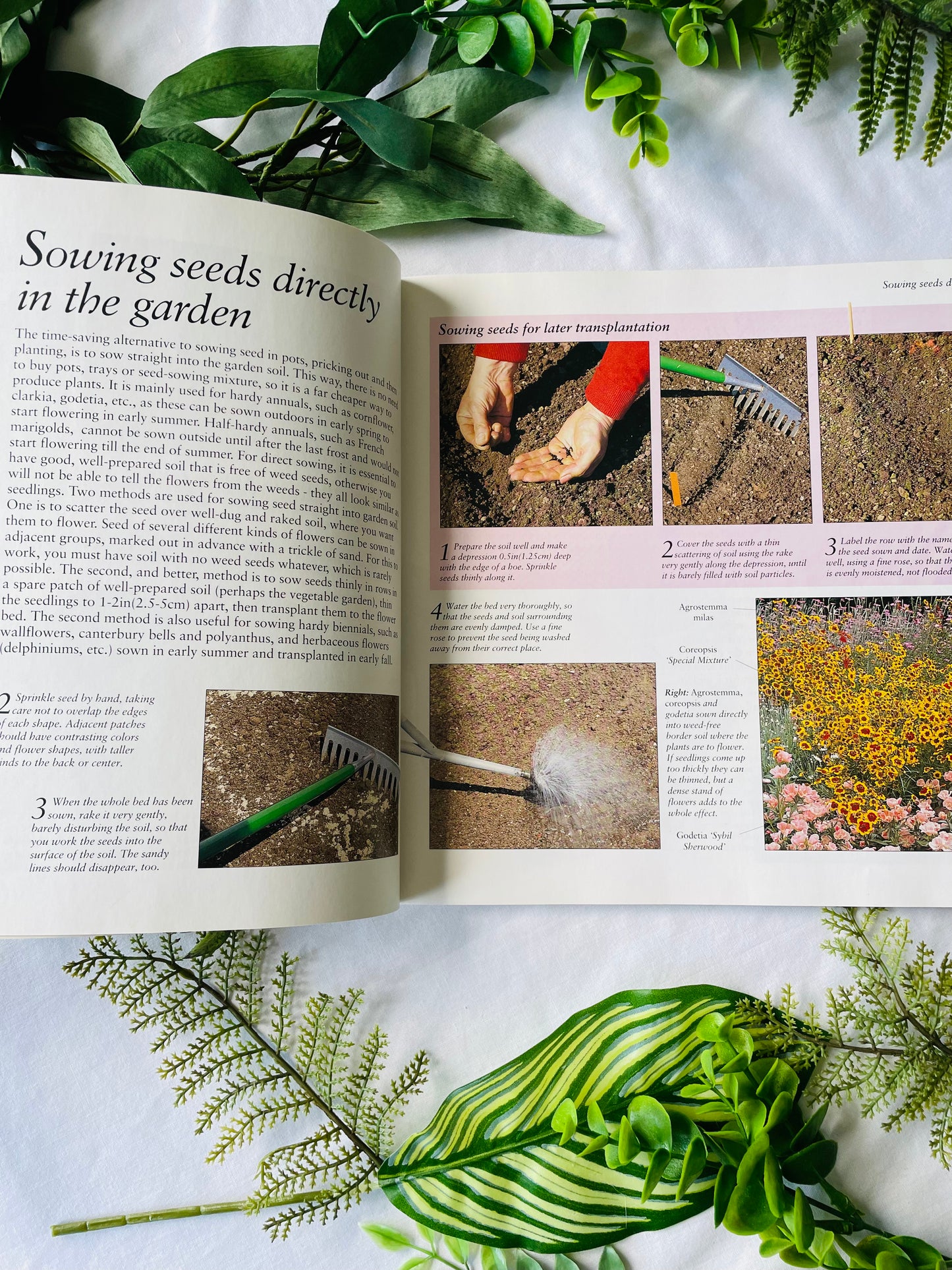 The Flower Garden Book (1995)