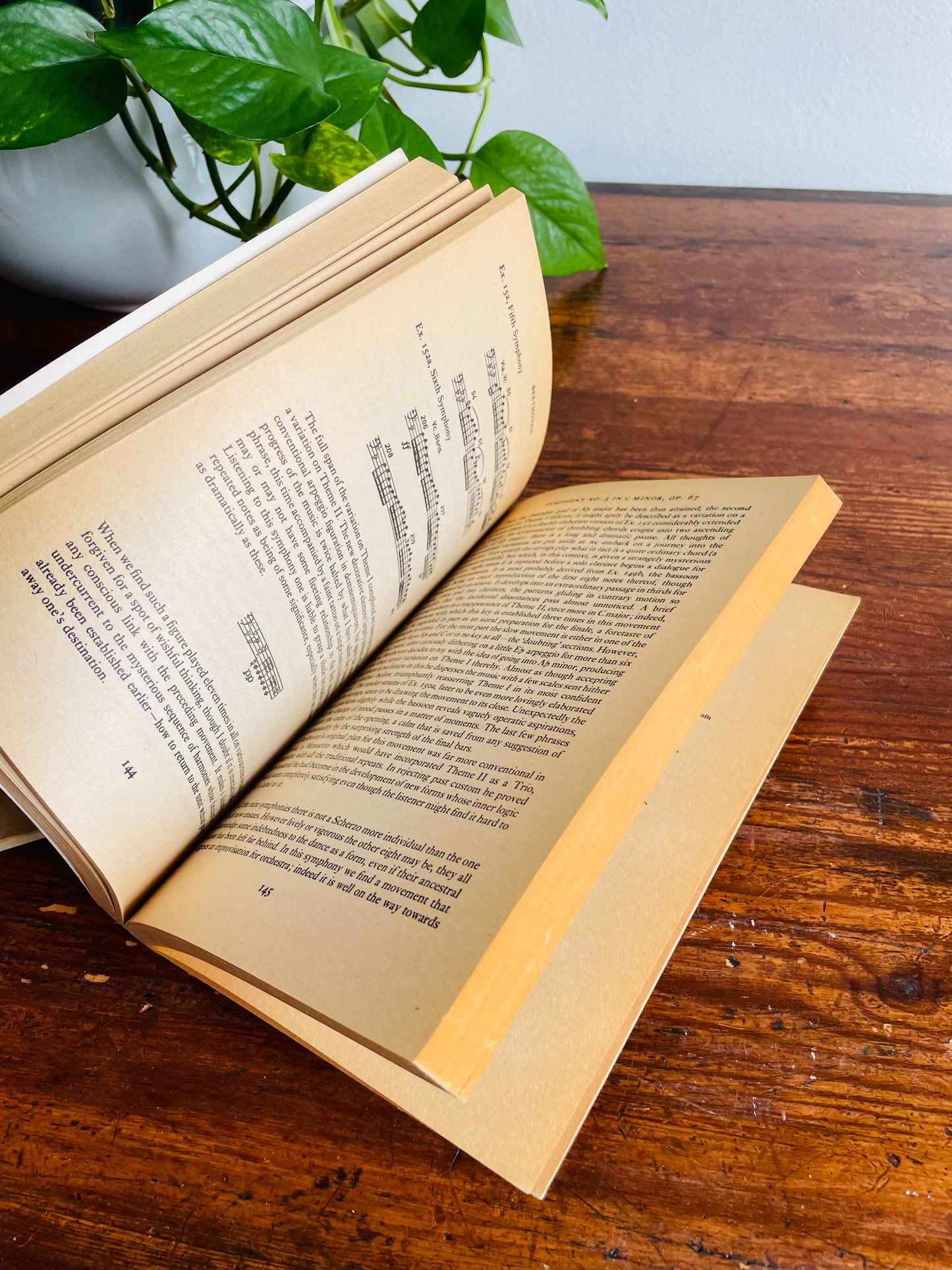 Music Vintage Book Bundle - Beethoven, Bach