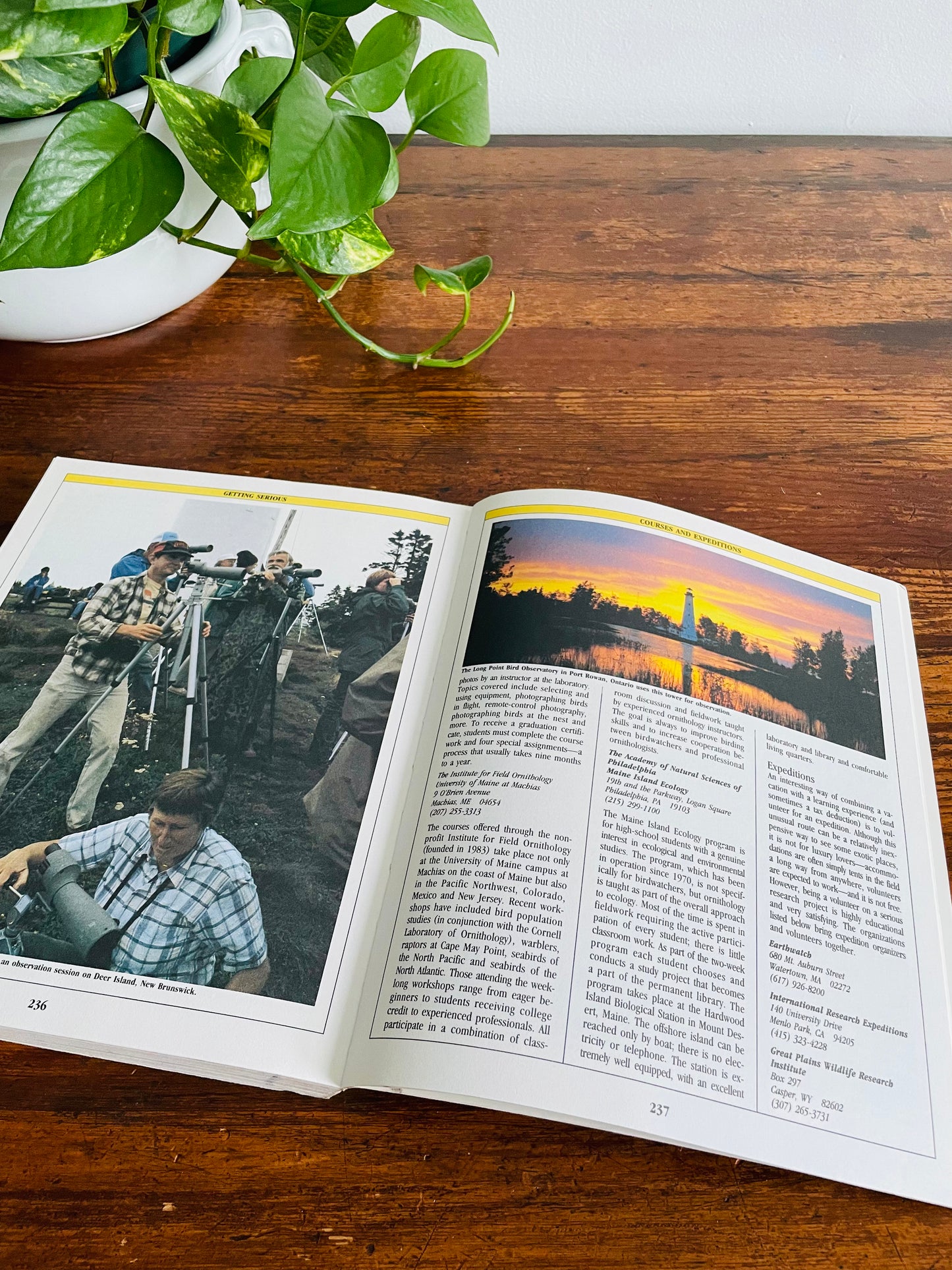 The Birder's Catalogue: The Sourcebook for Birding Paraphernalia (1989)