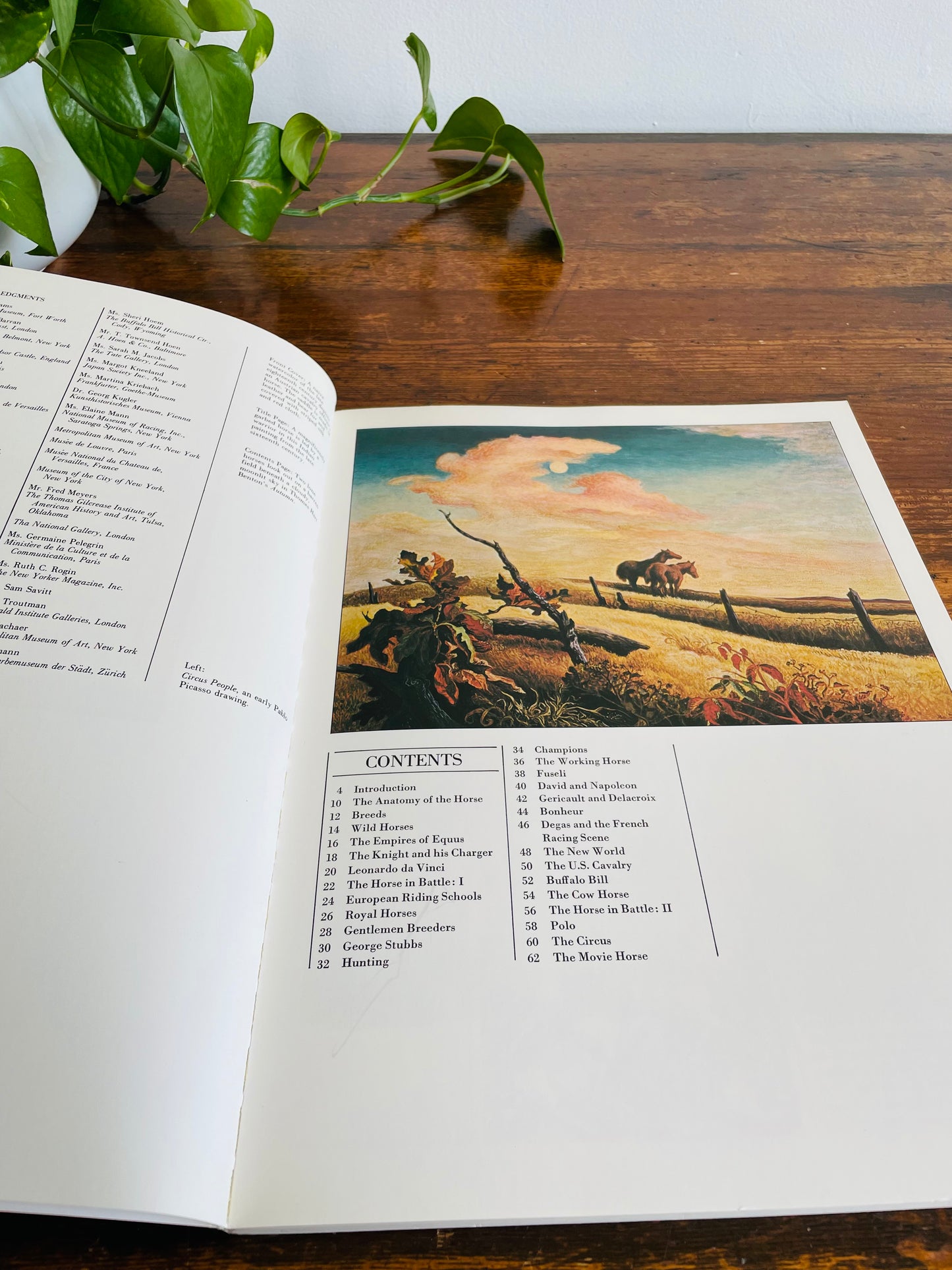 The Illustrated Horse Book by Jean-Claude Suares & Charles Stephen (1979)