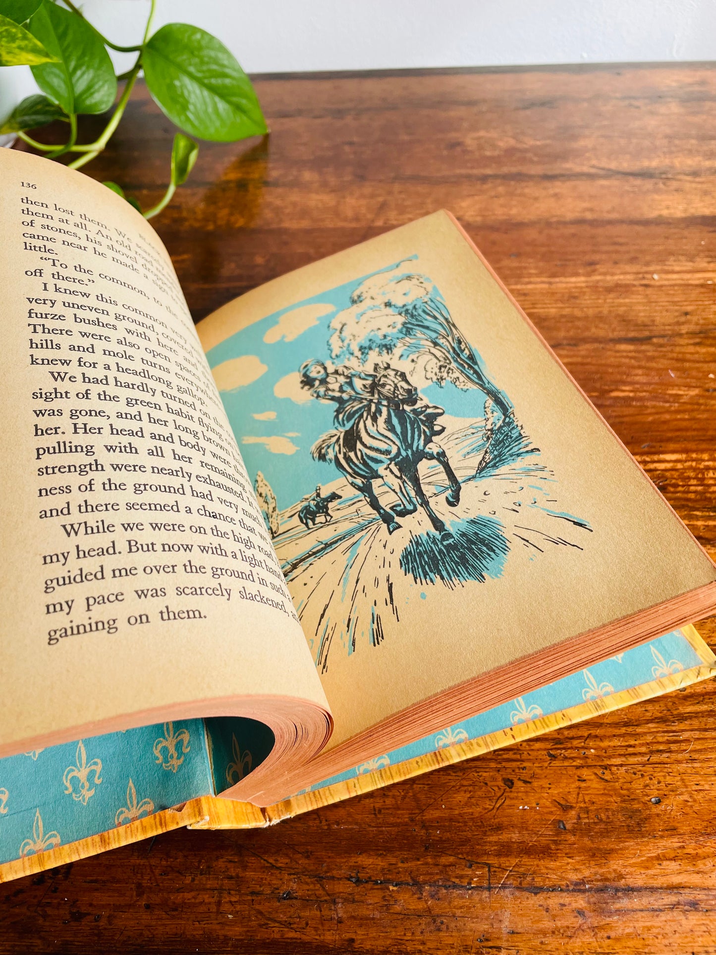 Young Adult Stories with Animals Vintage Book Bundle - Black Beauty, Big Brother