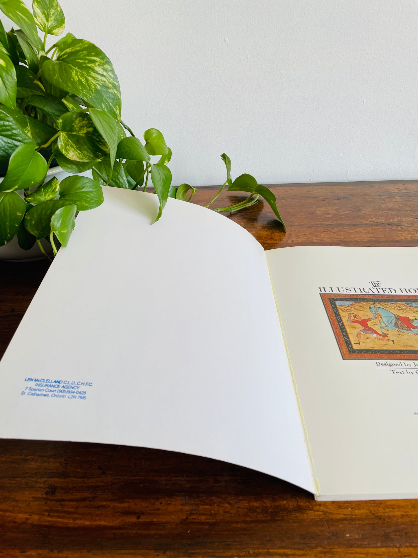 The Illustrated Horse Book by Jean-Claude Suares & Charles Stephen (1979)