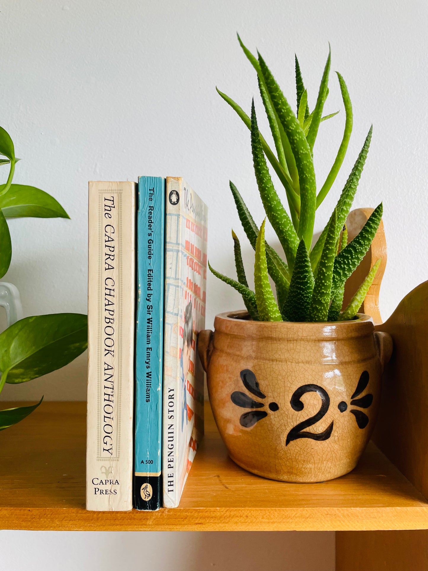 Literature Vintage Book Bundle - Capra Chapbook, Reader's Guide, Penguin Publishing History