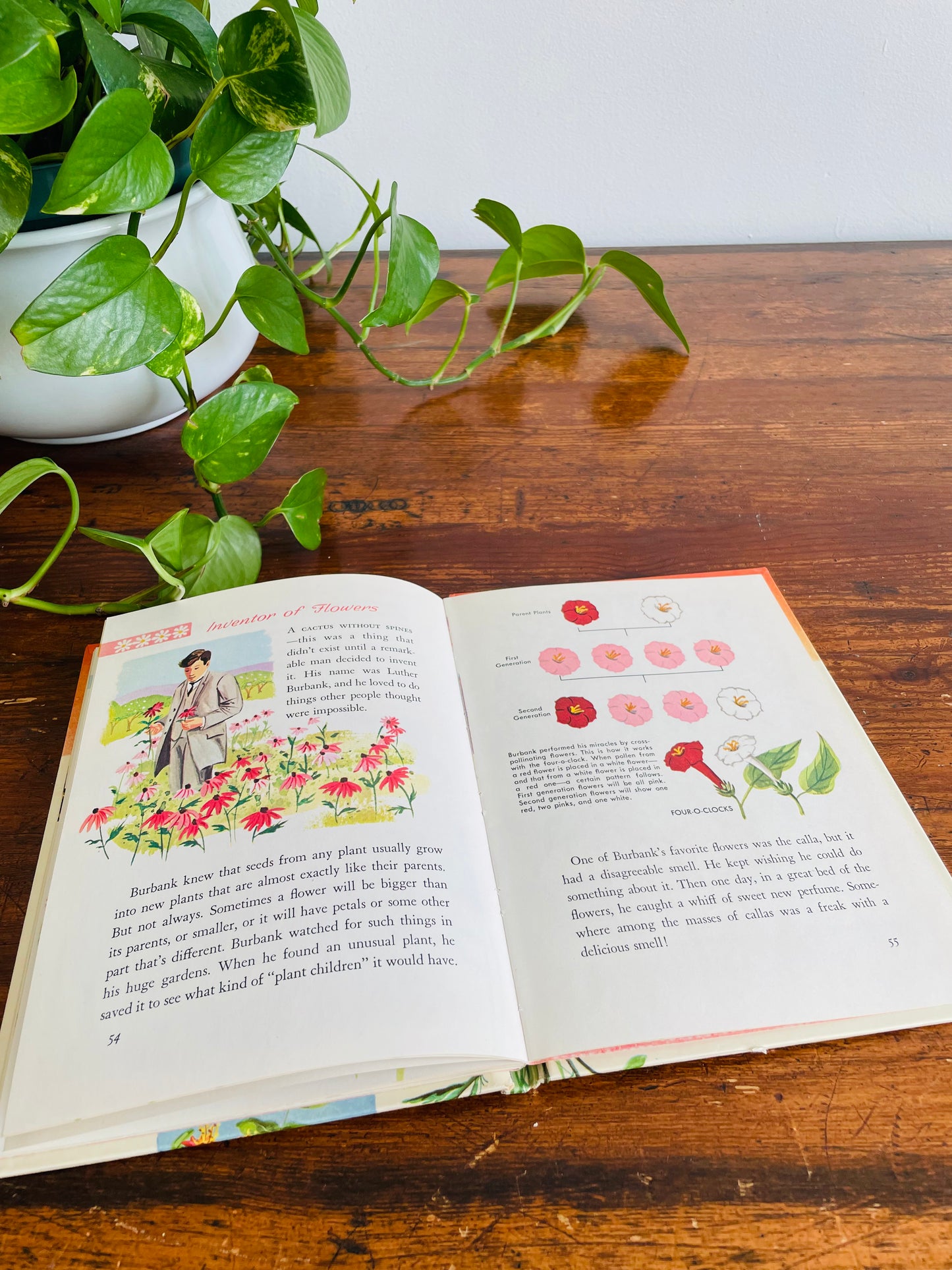 Flowers and What They Are by Mary Elting - A Whitman Learn About Book - Hardcover (1961)