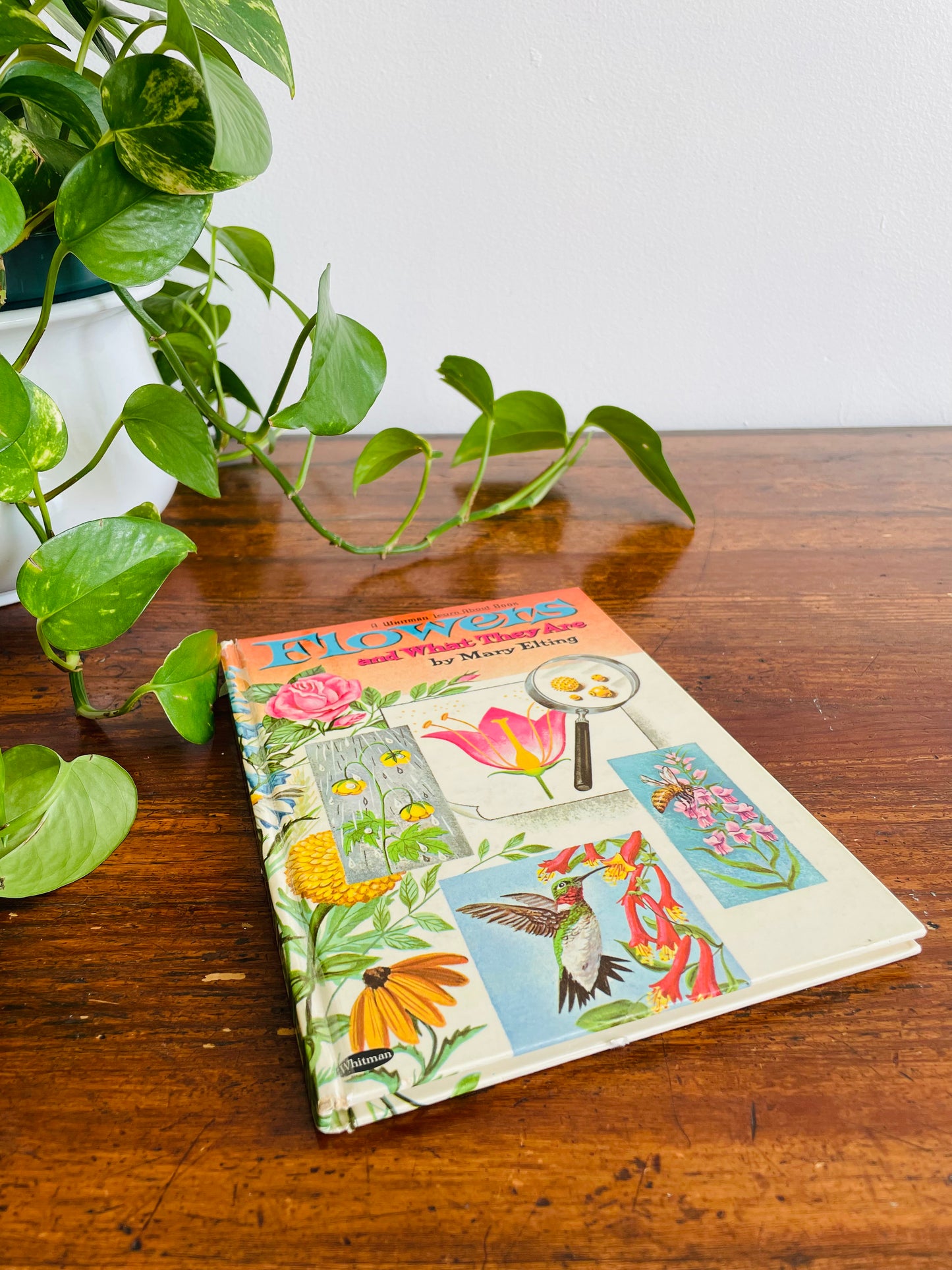 Flowers and What They Are by Mary Elting - A Whitman Learn About Book - Hardcover (1961)