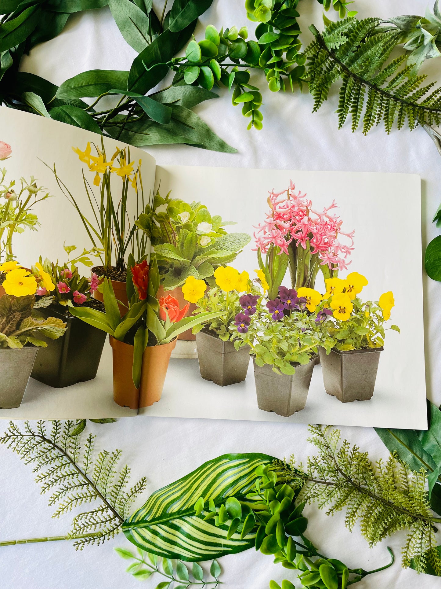 The Flower Garden Book (1995)