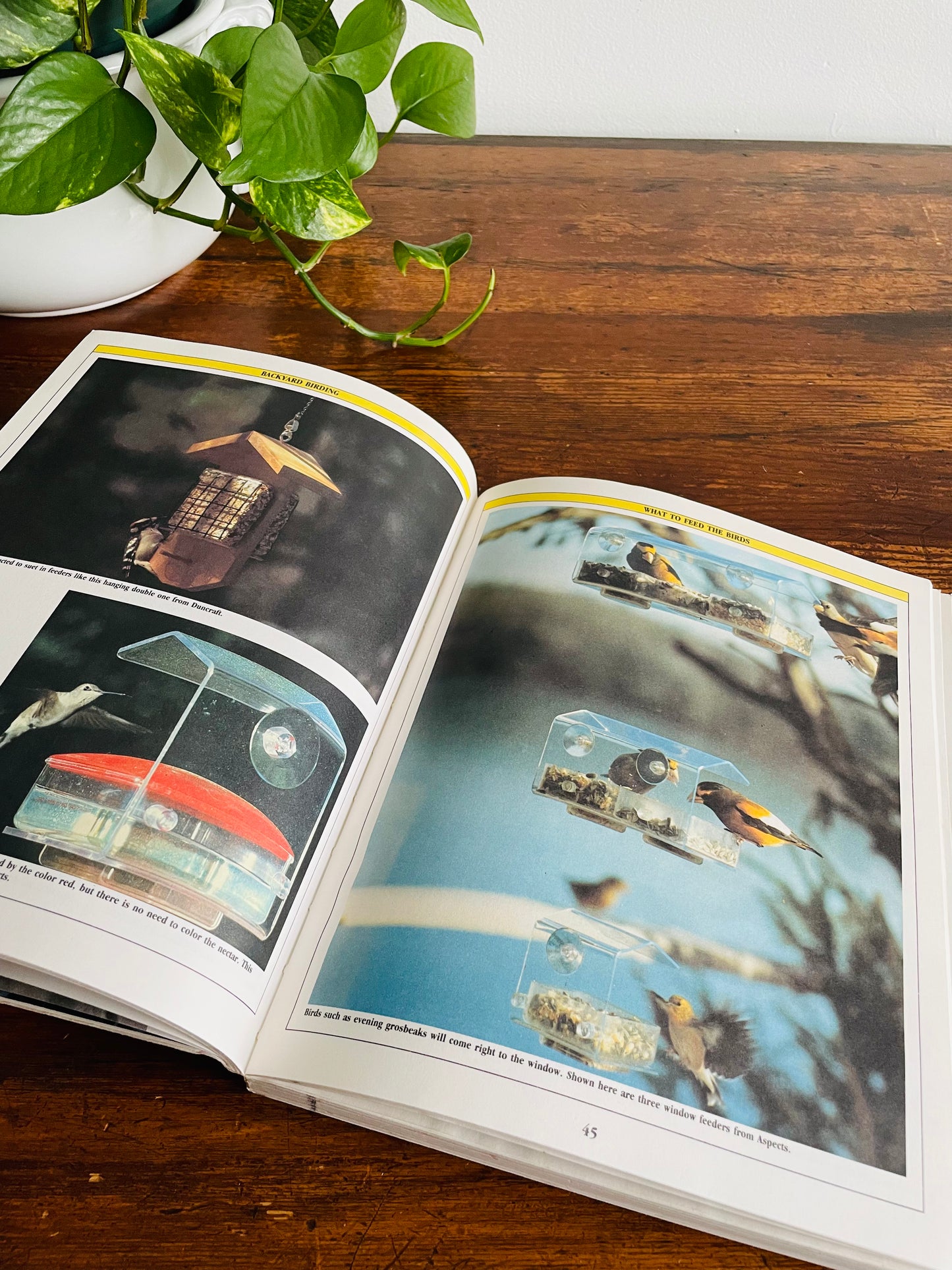The Birder's Catalogue: The Sourcebook for Birding Paraphernalia (1989)