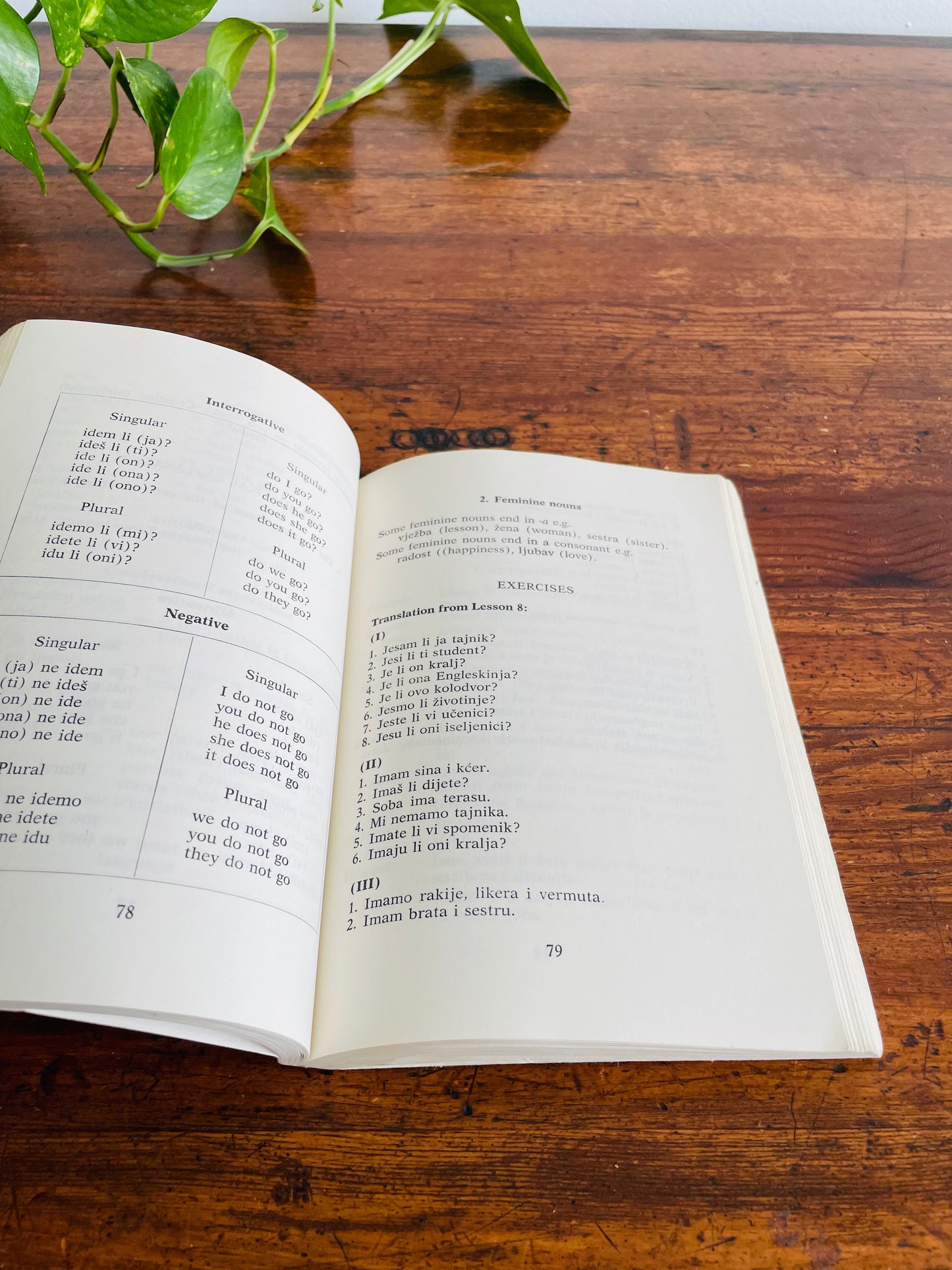 Mladen Engelsfeld Croatian Through Conversation & Phrase Book for Tourists (1969)