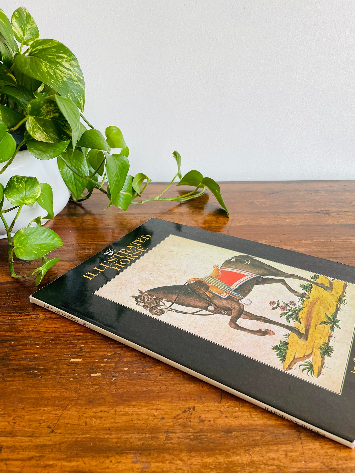 The Illustrated Horse Book by Jean-Claude Suares & Charles Stephen (1979)