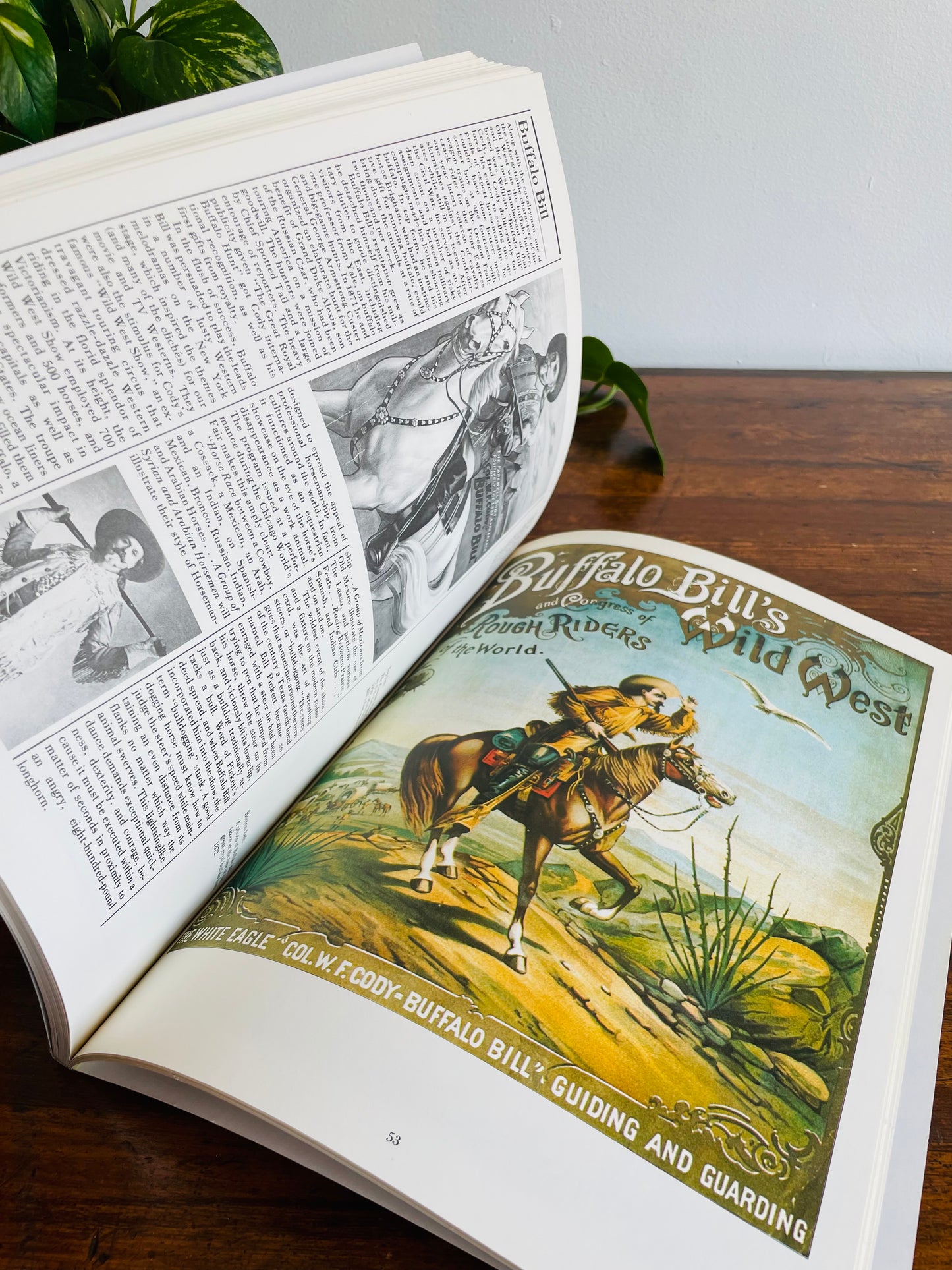 The Illustrated Horse Book by Jean-Claude Suares & Charles Stephen (1979)