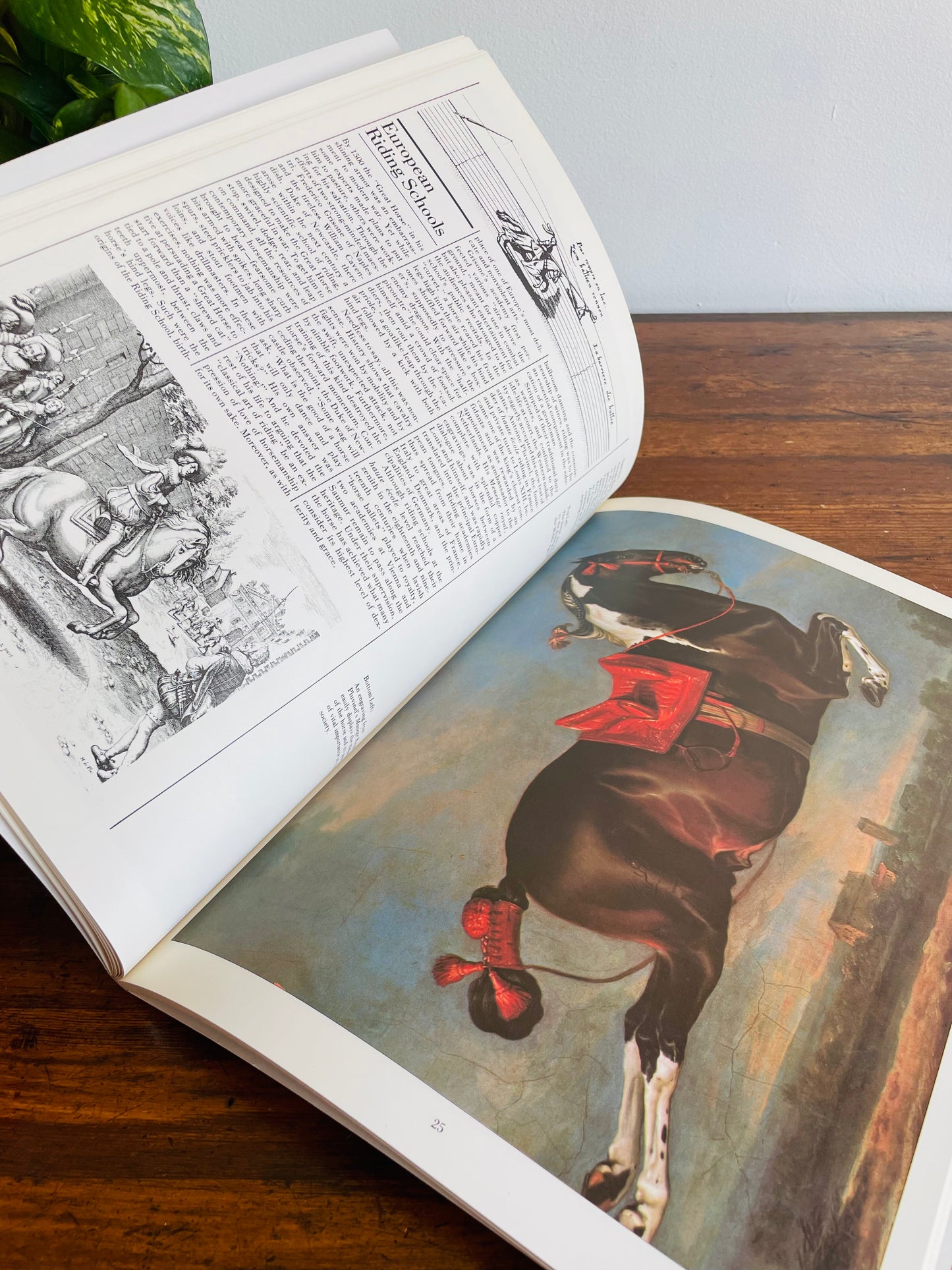 The Illustrated Horse Book by Jean-Claude Suares & Charles Stephen (1979)