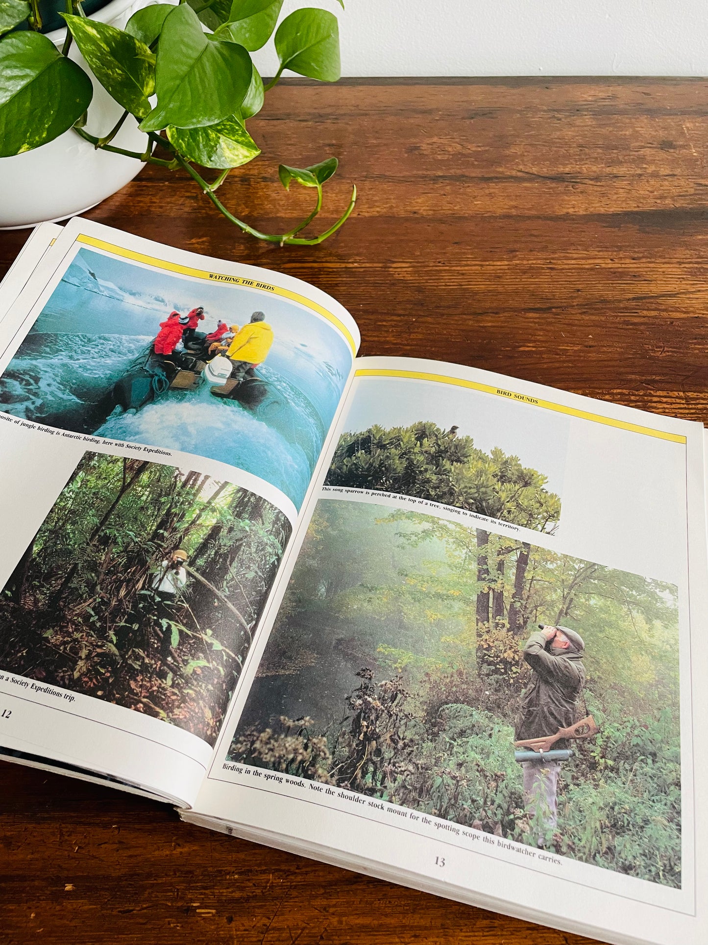The Birder's Catalogue: The Sourcebook for Birding Paraphernalia (1989)