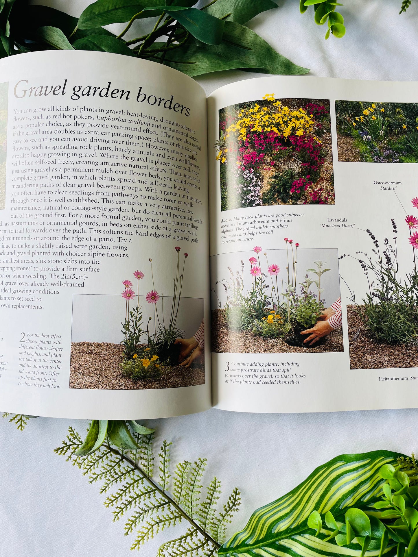 The Flower Garden Book (1995)