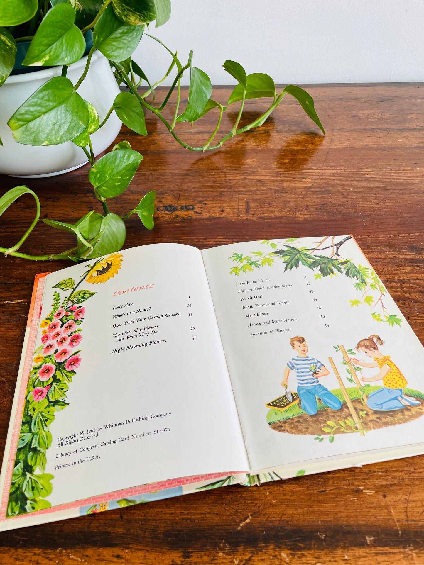 Flowers and What They Are by Mary Elting - A Whitman Learn About Book - Hardcover (1961)