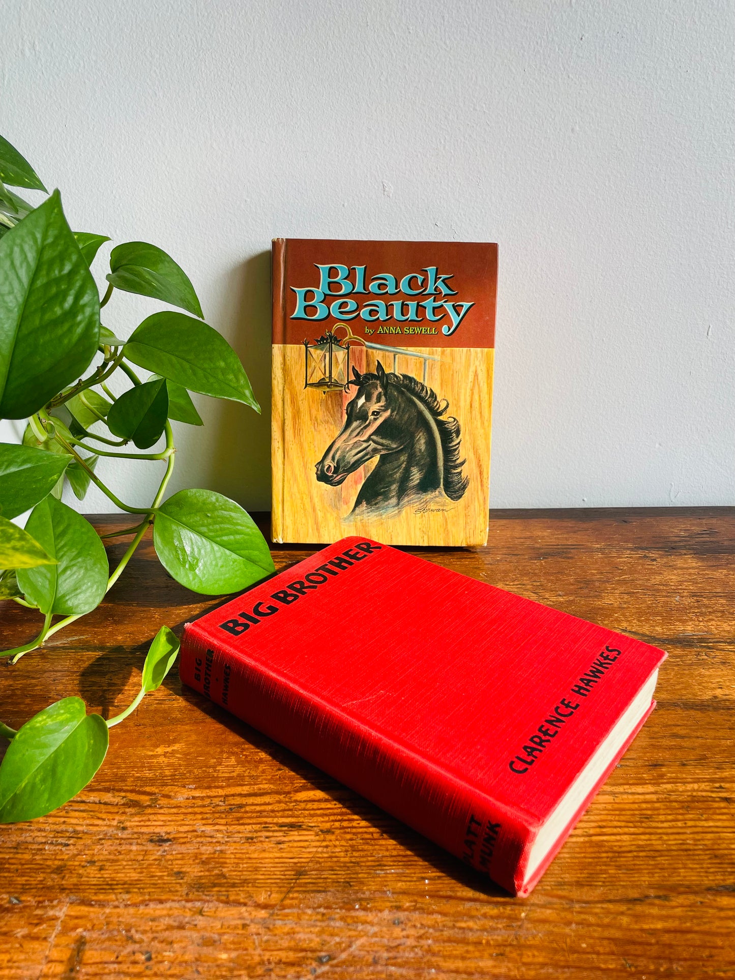 Young Adult Stories with Animals Vintage Book Bundle - Black Beauty, Big Brother