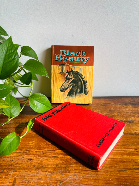 Young Adult Stories with Animals Vintage Book Bundle - Black Beauty, Big Brother