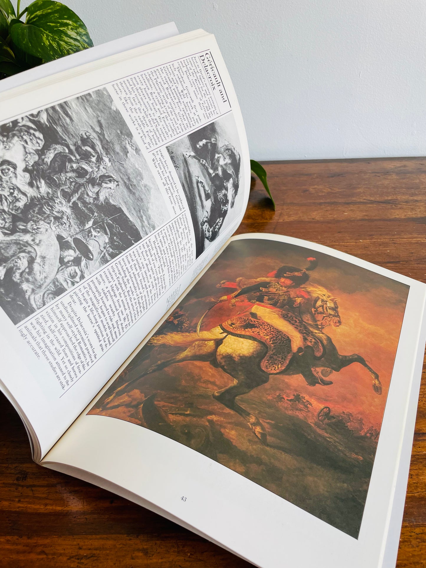 The Illustrated Horse Book by Jean-Claude Suares & Charles Stephen (1979)