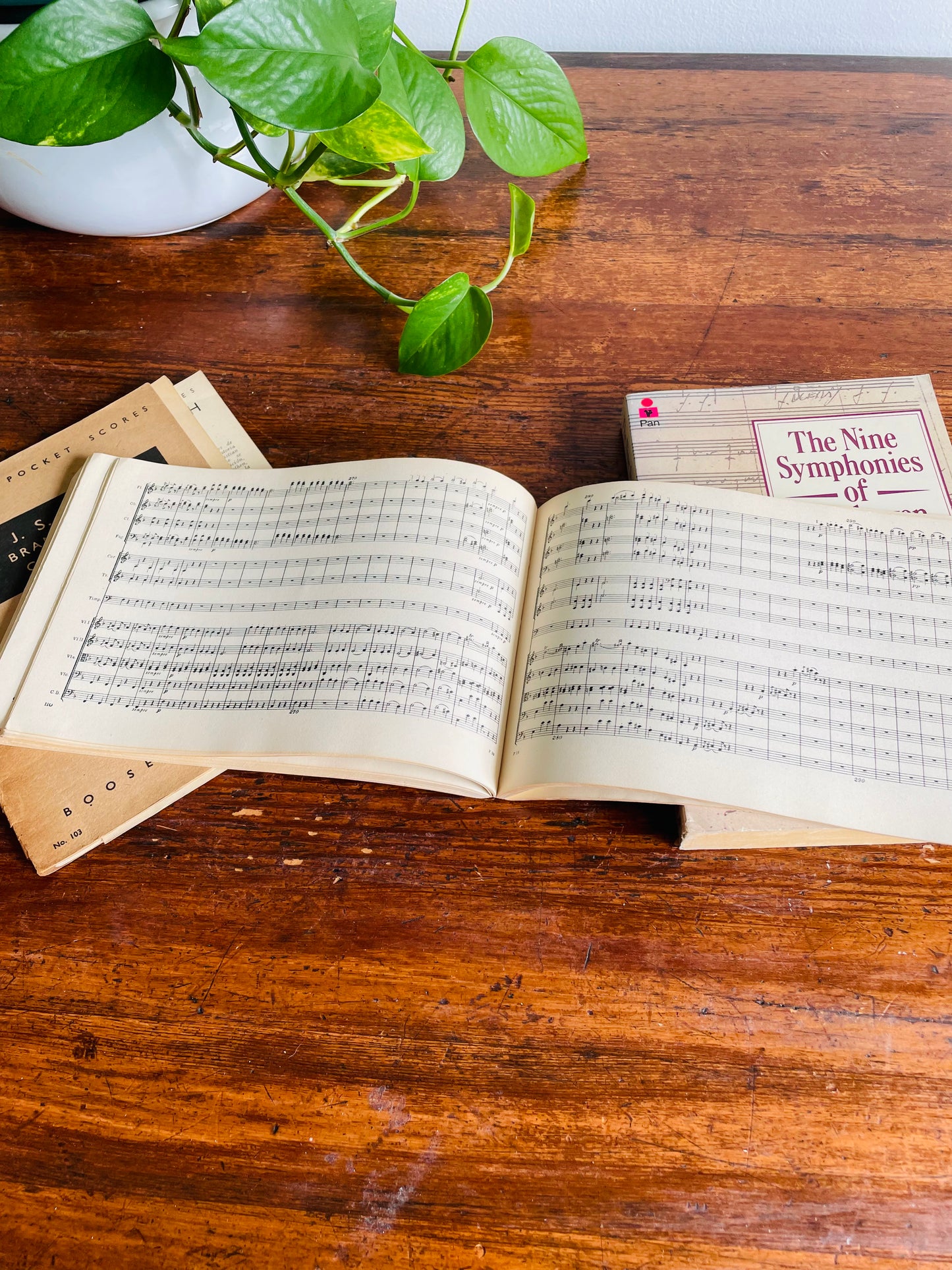 Music Vintage Book Bundle - Beethoven, Bach