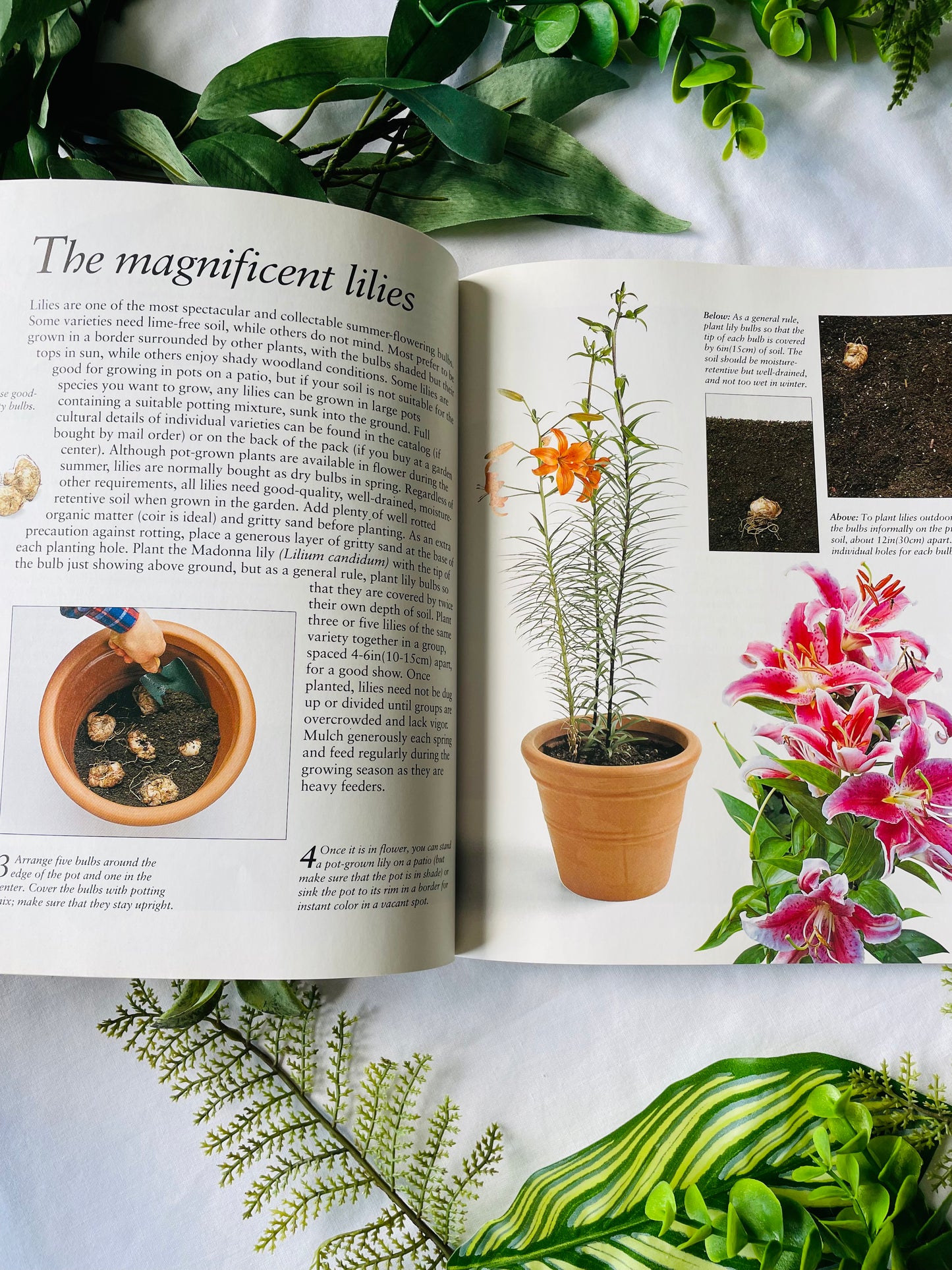 The Flower Garden Book (1995)