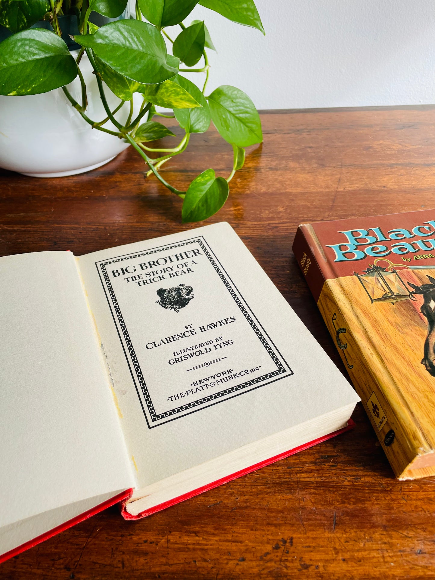 Young Adult Stories with Animals Vintage Book Bundle - Black Beauty, Big Brother