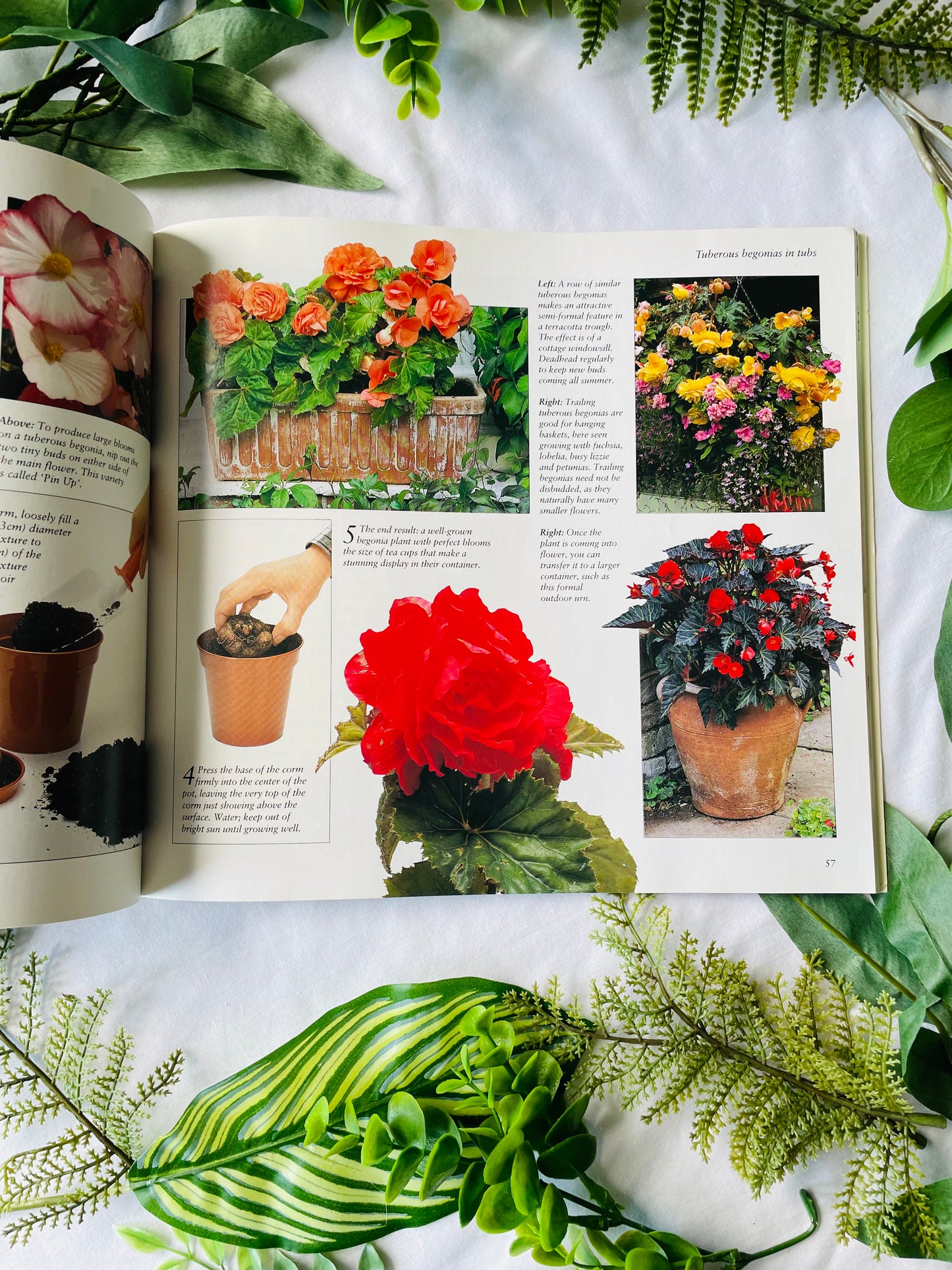 The Flower Garden Book (1995)