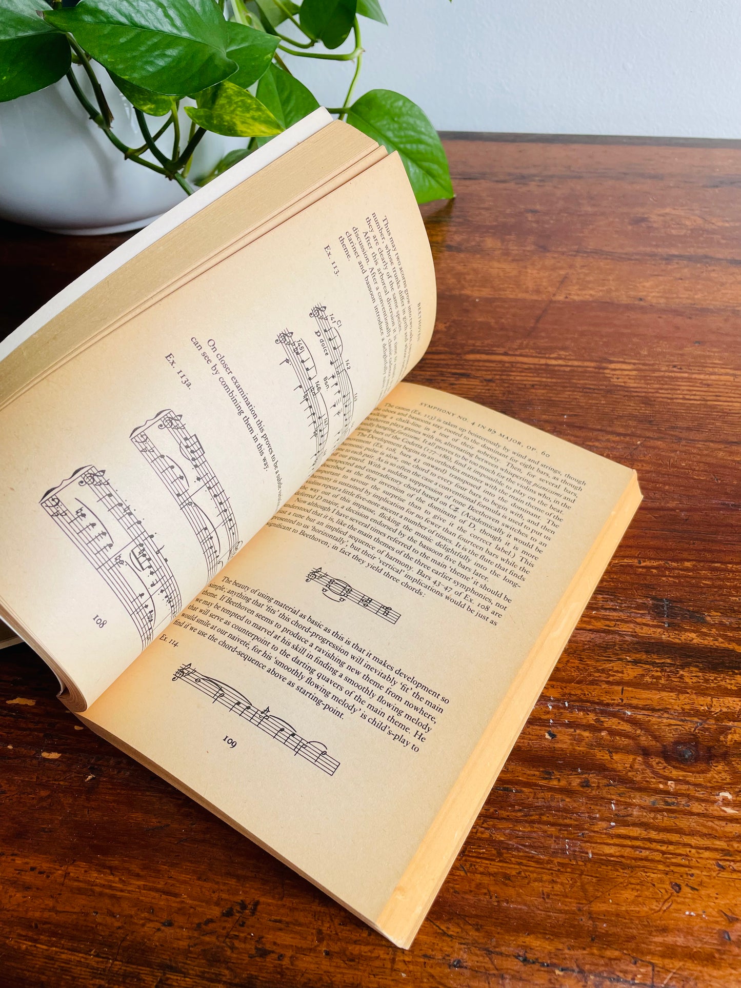 Music Vintage Book Bundle - Beethoven, Bach