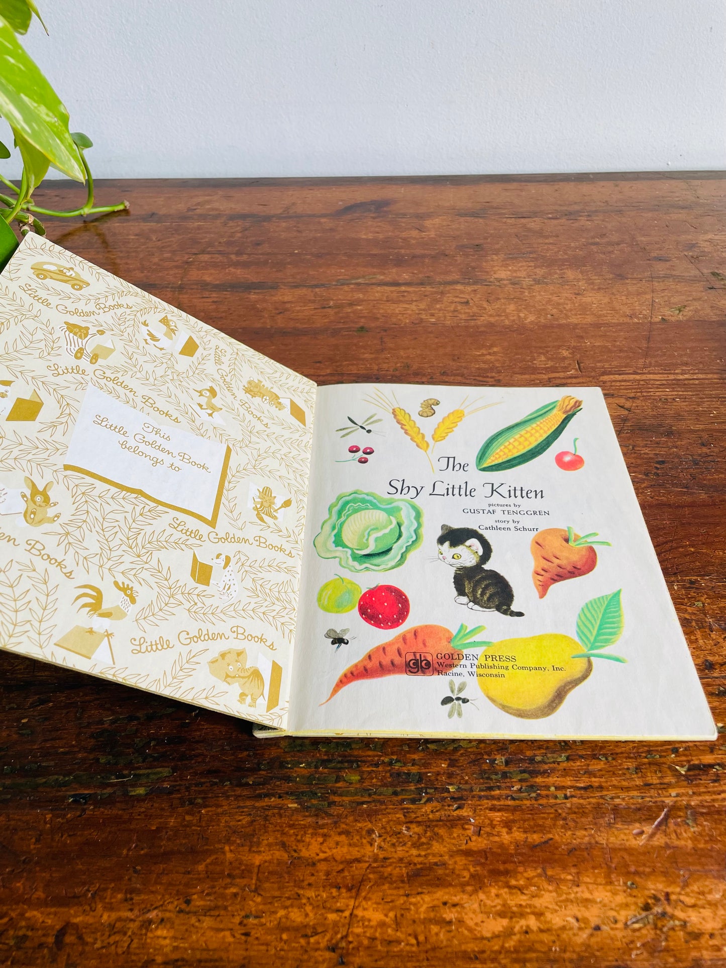 Vintage A Little Golden Book - The Shy Little Kitten - Hardcover (1978)