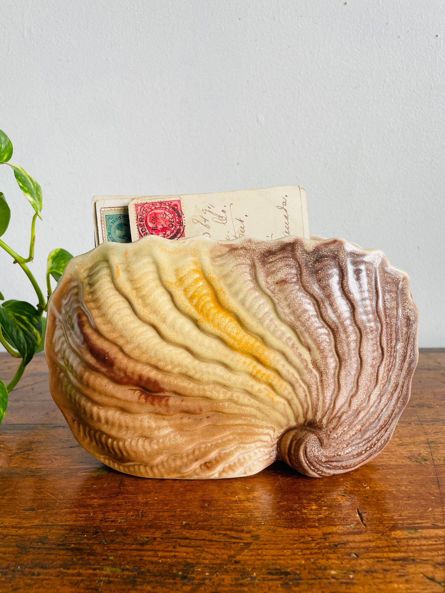 Vintage 1920s Art Deco Shorter & Son 319 L/S Narrow Nautilus Shell Vase - Also Great for Holding Mail - Stoke-On-Trent England