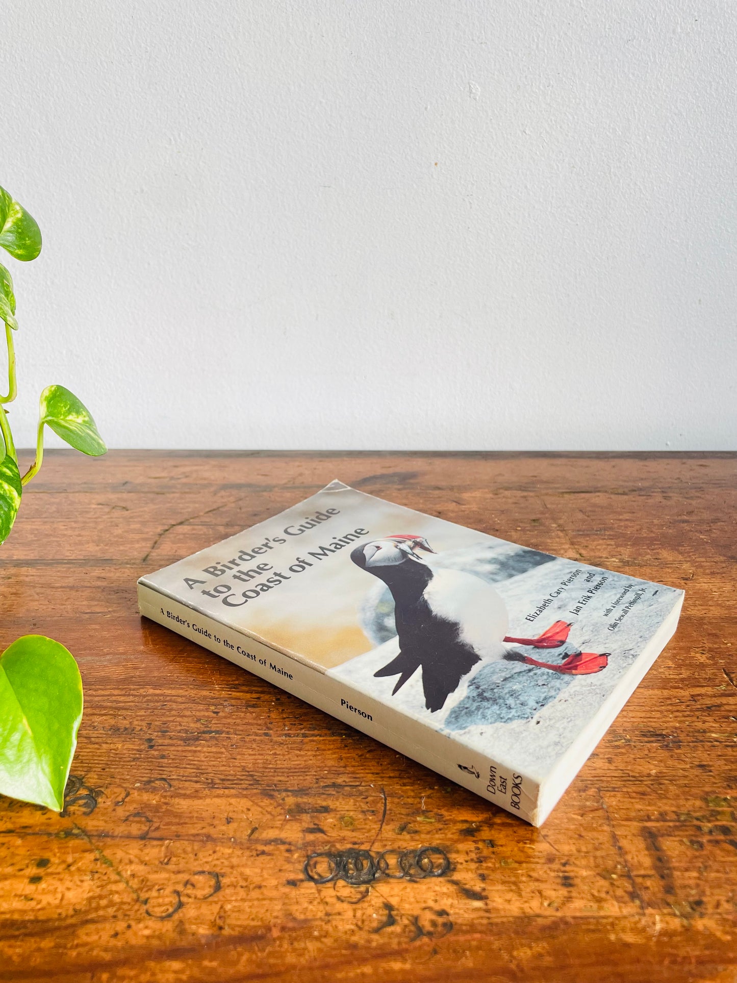 Vintage A Birder's Guide to the Coast of Maine Paperback Book by Elizabeth Cary Pierson & Jan Erik Pierson (1981)