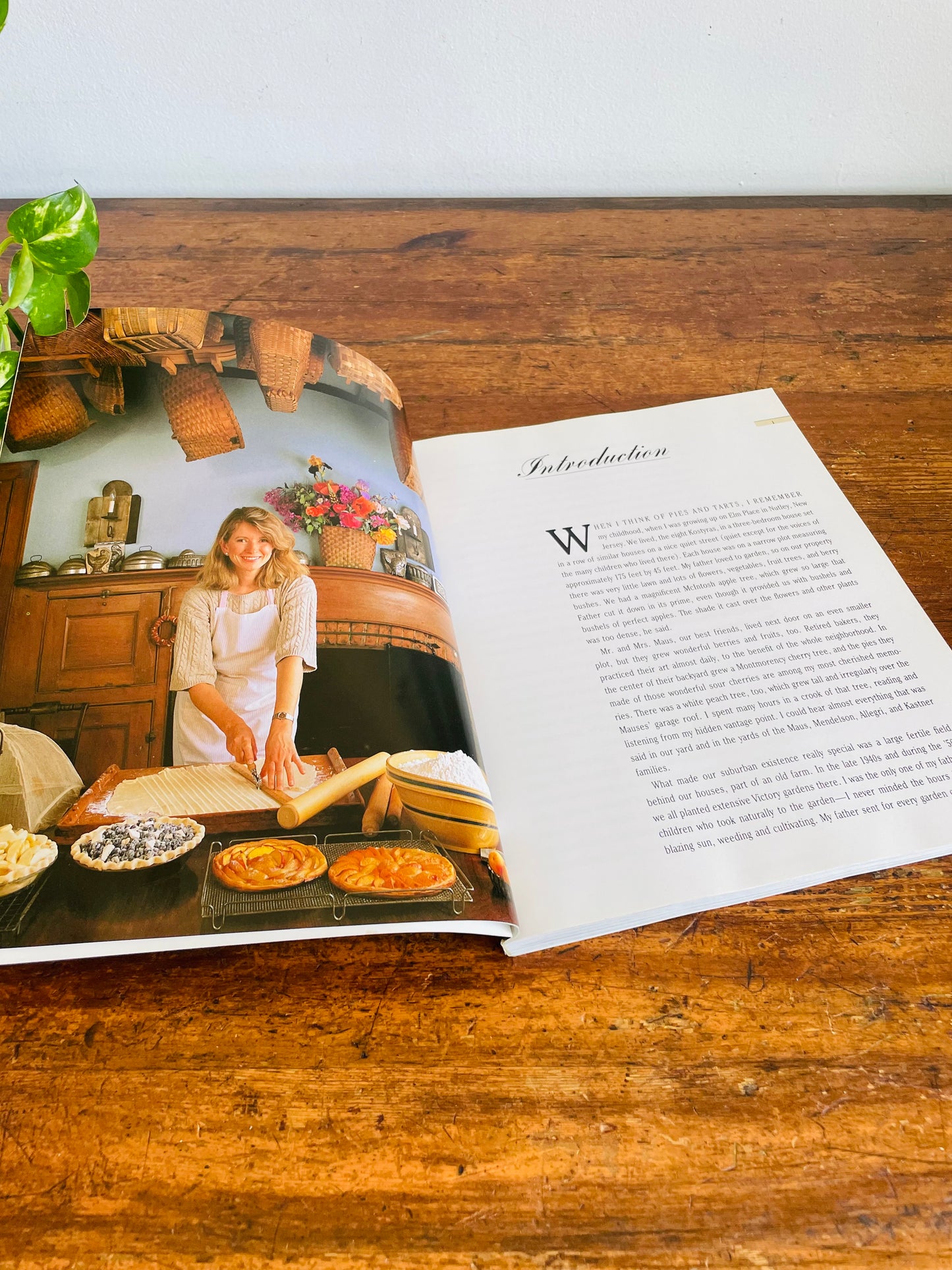 Vintage Martha Stewart's Pies & Tarts Softcover Recipe Book (1985)