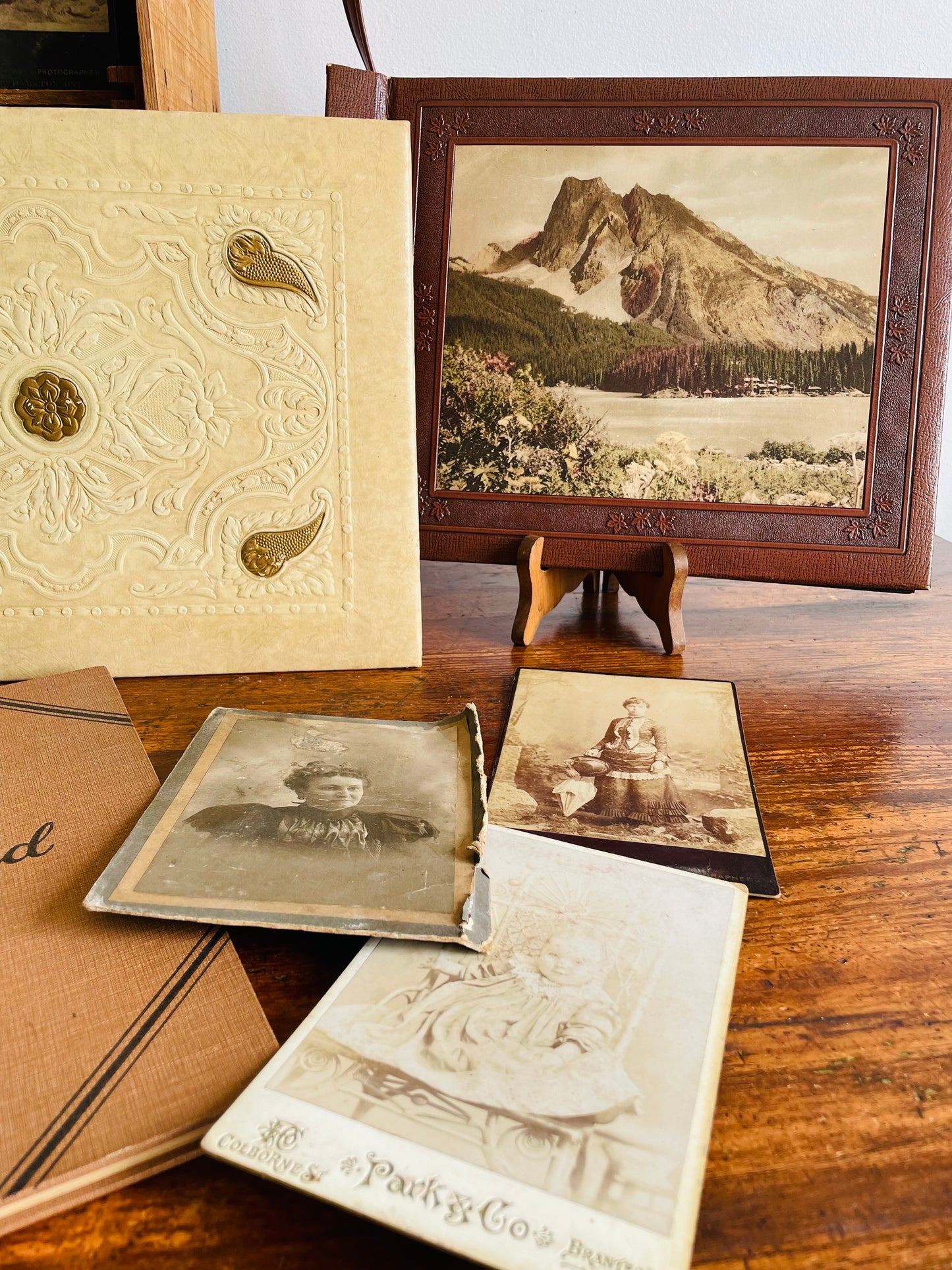 Antique Photo Album or Scrapbook - Brown with Embossed Maple Leaves & Landscape Photo of Mountain with Cabins - Black Pages - Empty