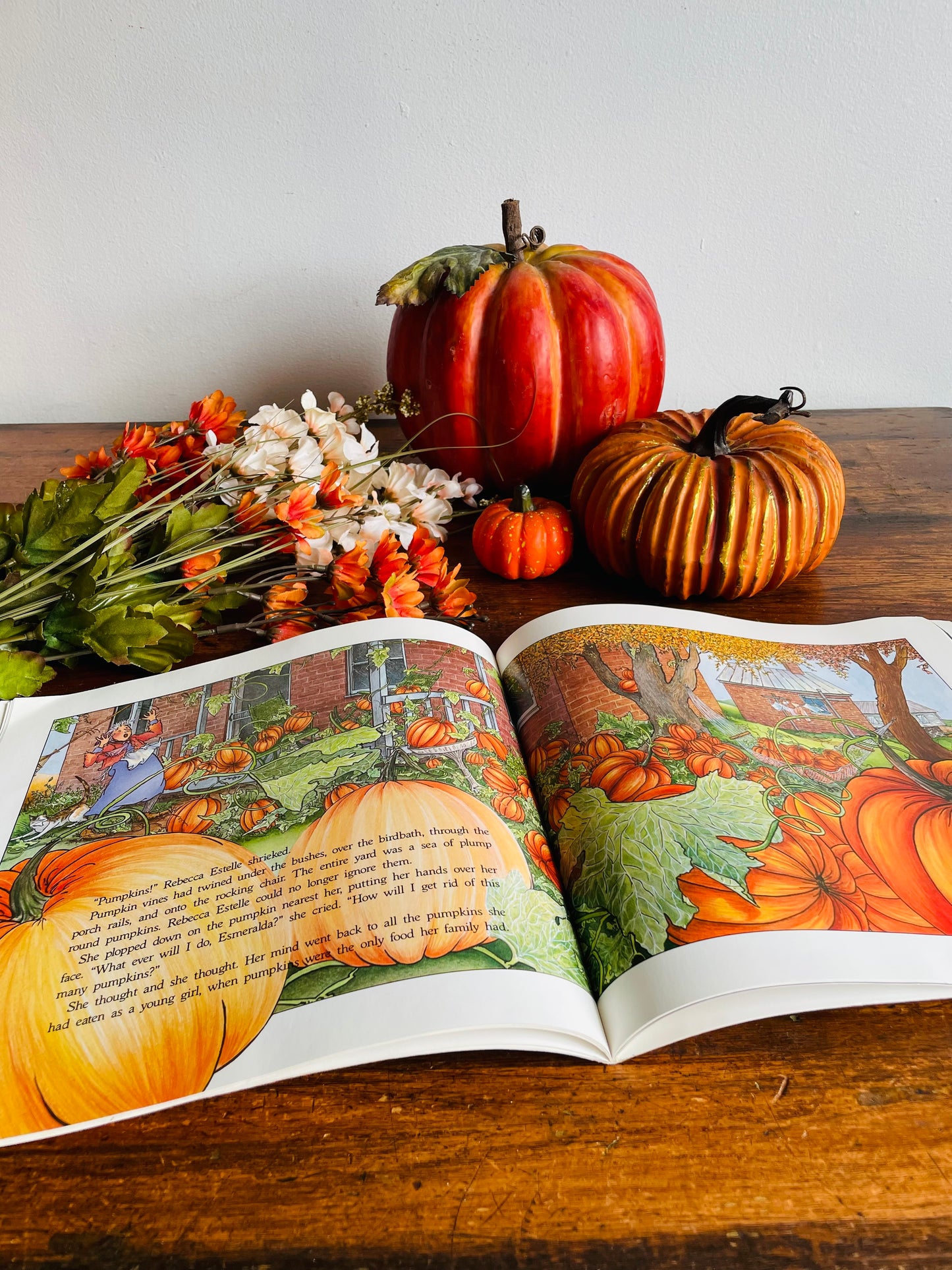 Too Many Pumpkins Book by Linda White & Megan Lloyd (1996)