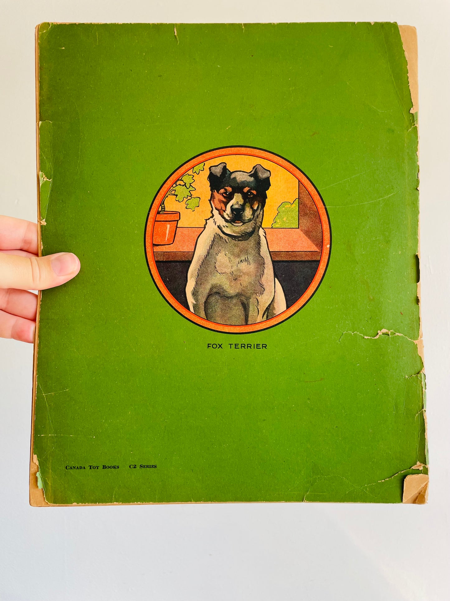 Antique A Book of Dogs - The Canada Games Co. (1921) - Fantastic Illustrations for Prints & Framing!