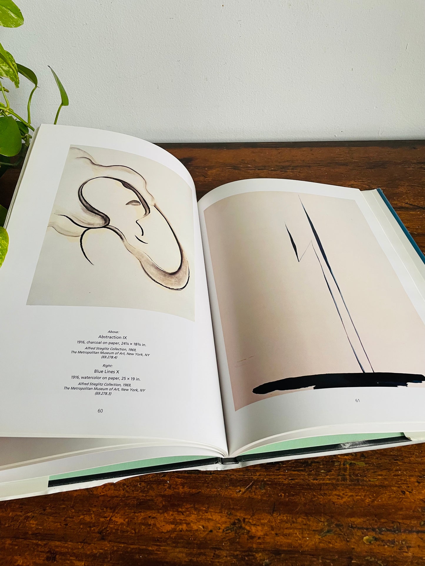 Vintage Georgia O'Keeffe Hardcover Coffee Table Book by Elizabeth Montgomery (1992)