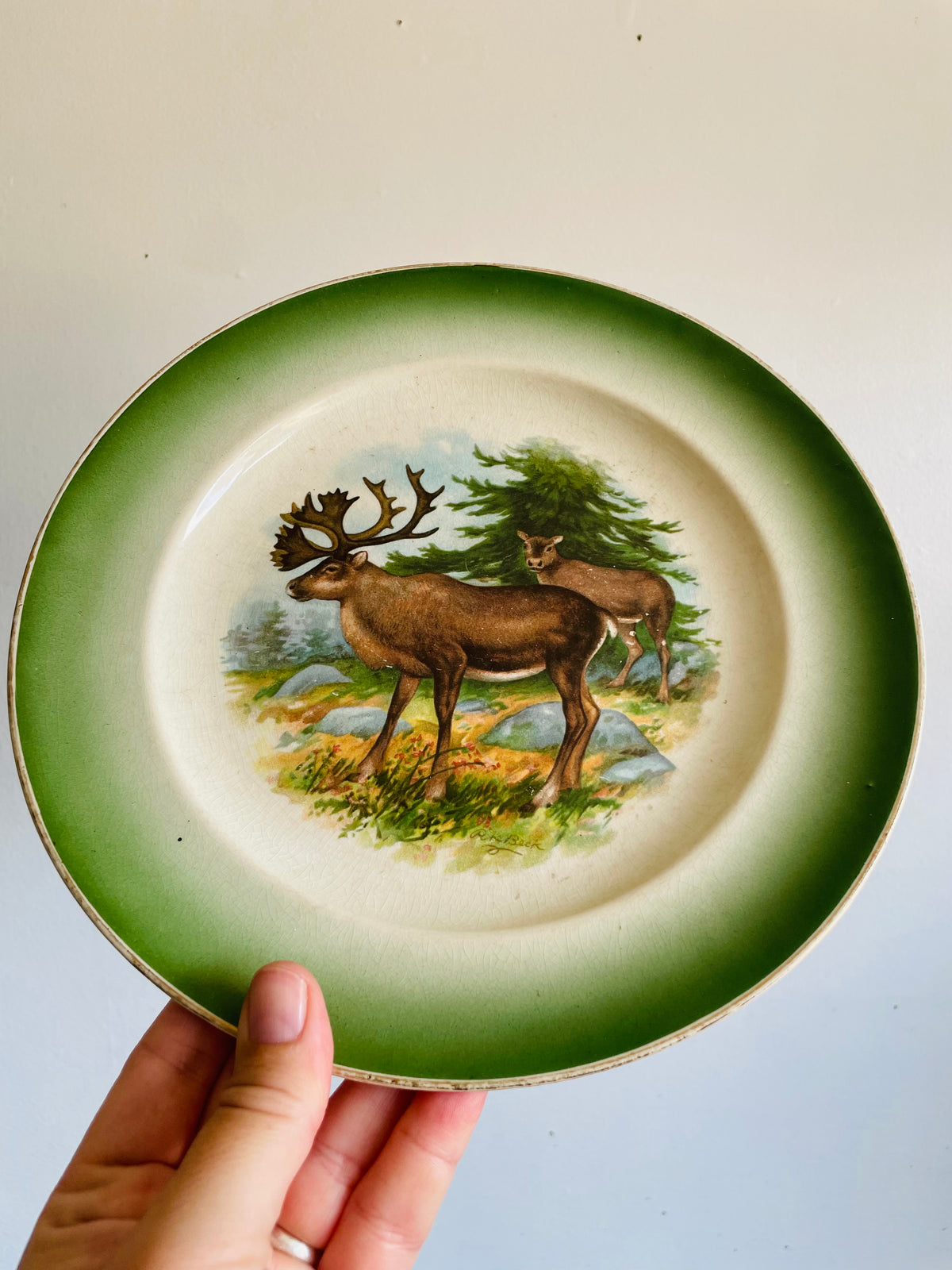 Antique Buffalo Pottery Plate with Caribou in Forest Nature Design - Includes Optional Plate Hanger