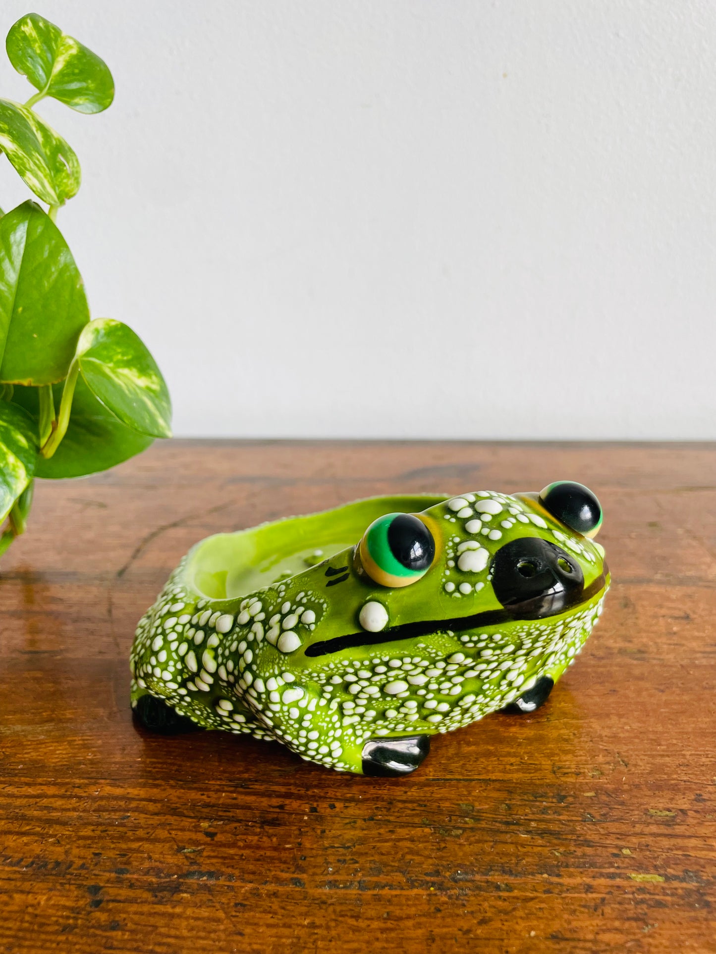Vintage Hand Painted Cute & Squat Frog Scrubbie, Sponge or Soap Holder - Signed Josie