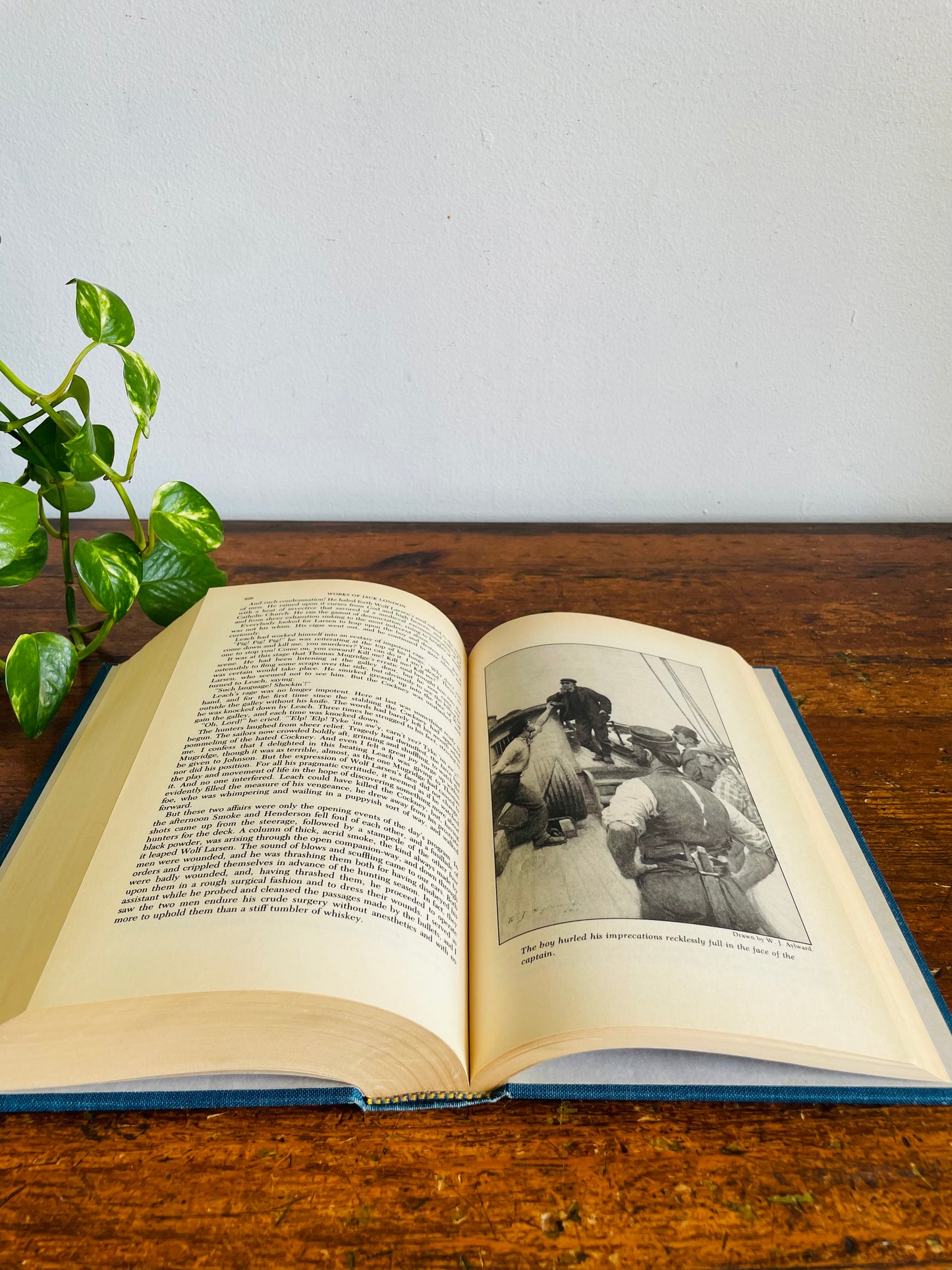 Vintage Jack London Compilation Hardcover Book - The Call of the Wild, White Fang, The Sea-Wolf & 40 Short Stories (1980)