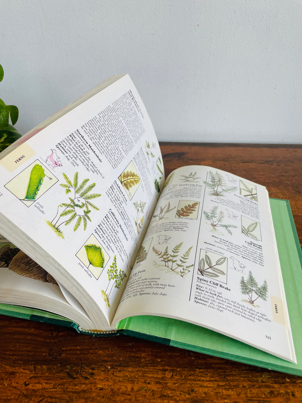 Vintage Reader's Digest North American Wildlife Hardcover Nature Guide Book with Illustrations (1982)