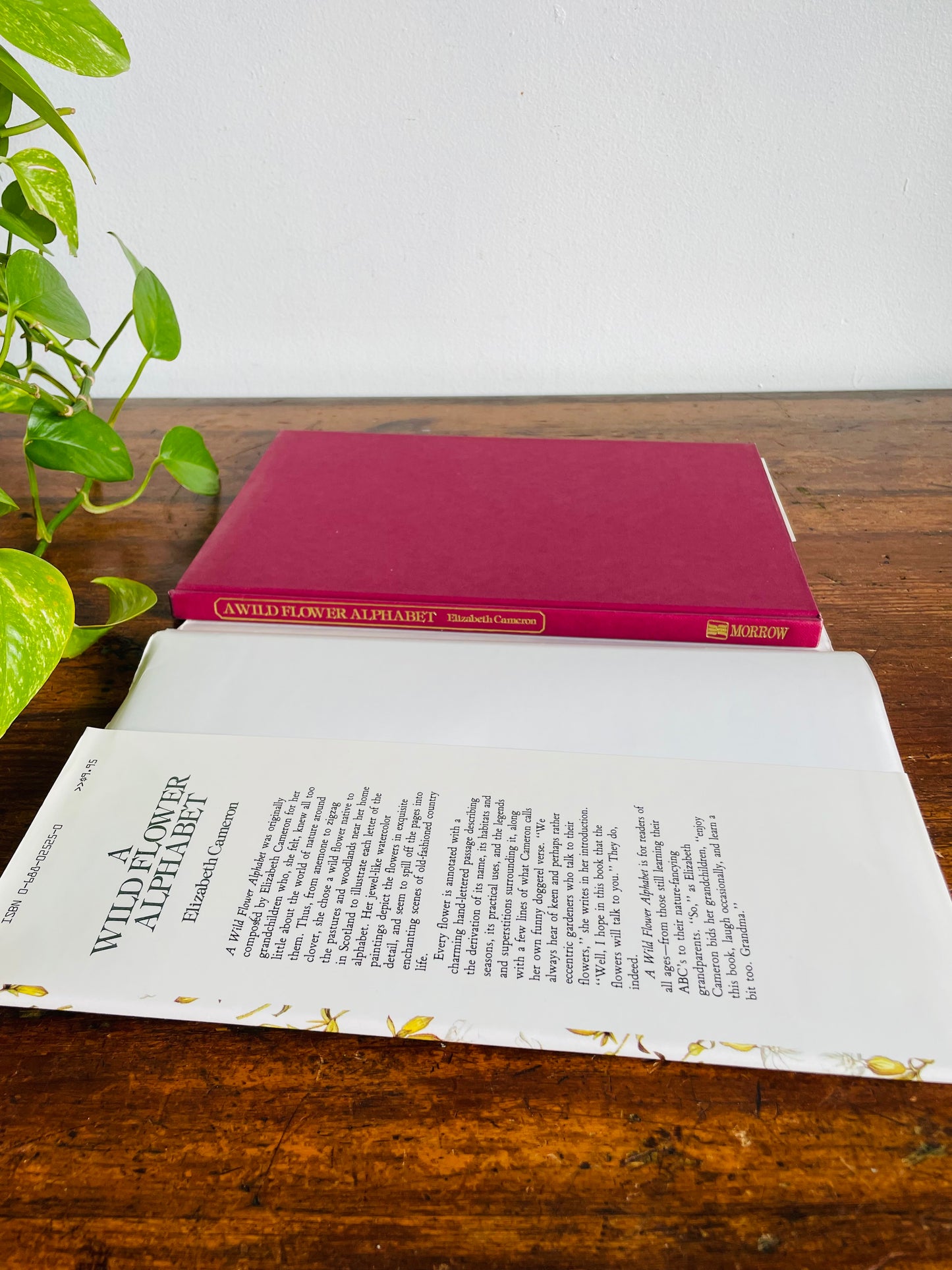 Vintage A Wild Flower Alphabet Hardcover Book by Elizabeth Cameron (1984) - Gorgeous Illustrations!