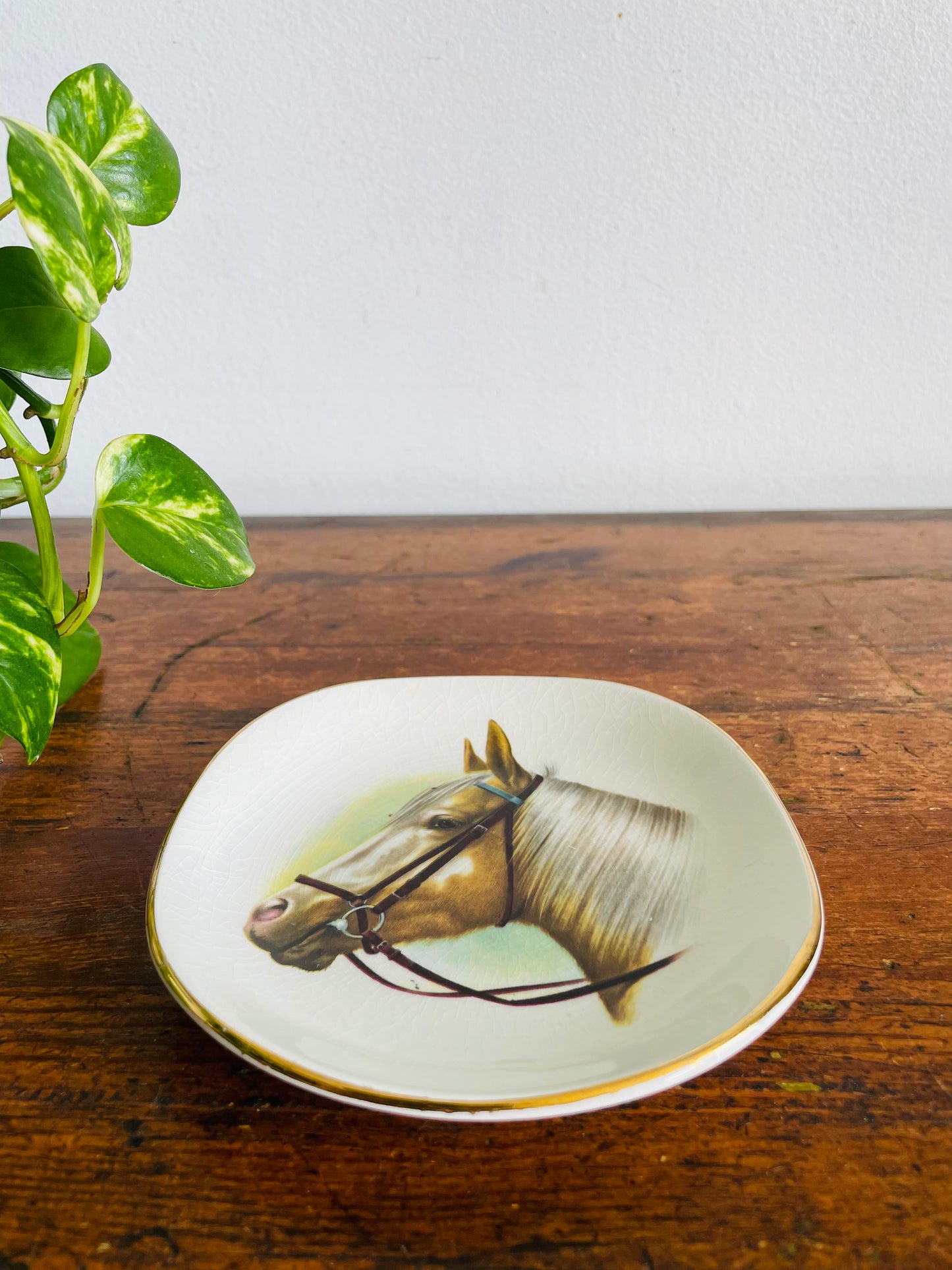 Vintage Weatherby Hanley England Royal Falcon Ware Trinket Dish or Wall Hanging Plate with Equestrian Horse Head Design - Includes Optional Plate Hanger