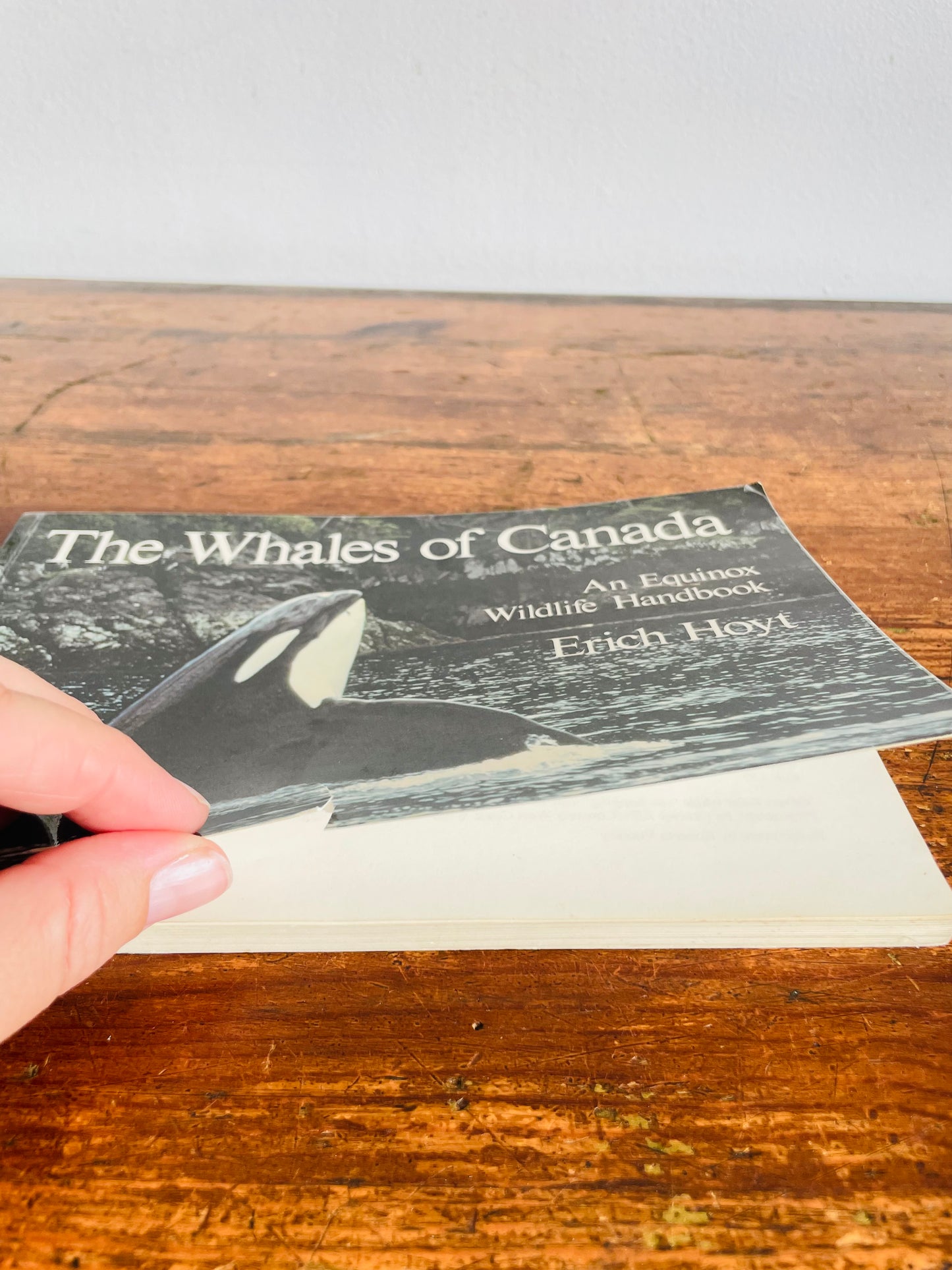 Vintage The Whales In Canada Softcover Book by Erich Hoyt - An Equinox Wildlife Handbook (1988)