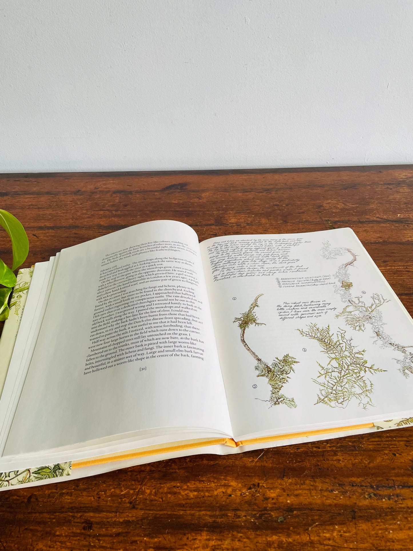 Janet Marsh's Nature Diary Hardcover Book (1979)