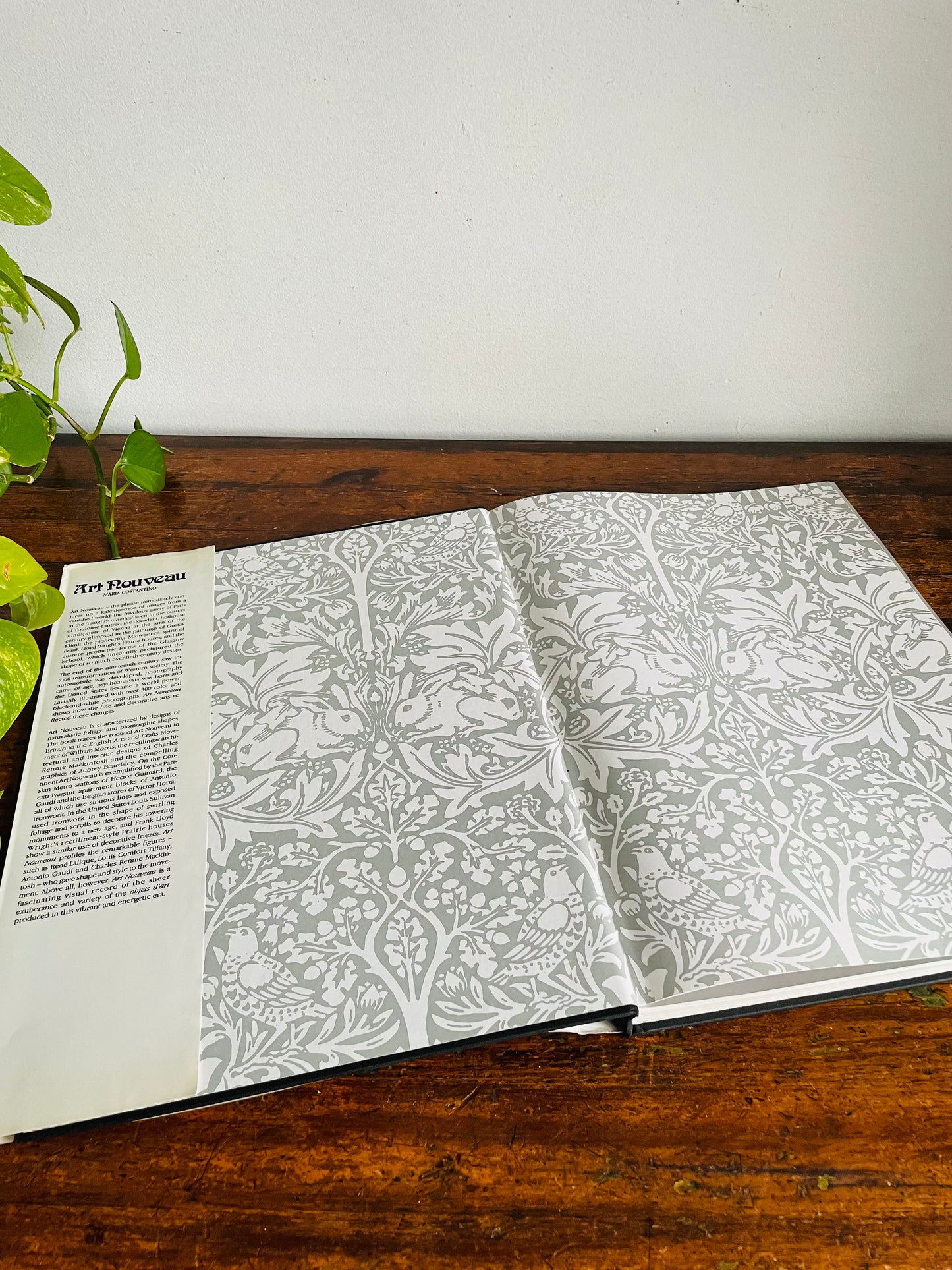 Vintage Art Nouveau Hardcover Coffee Table Book by Maria Costantino (1989)