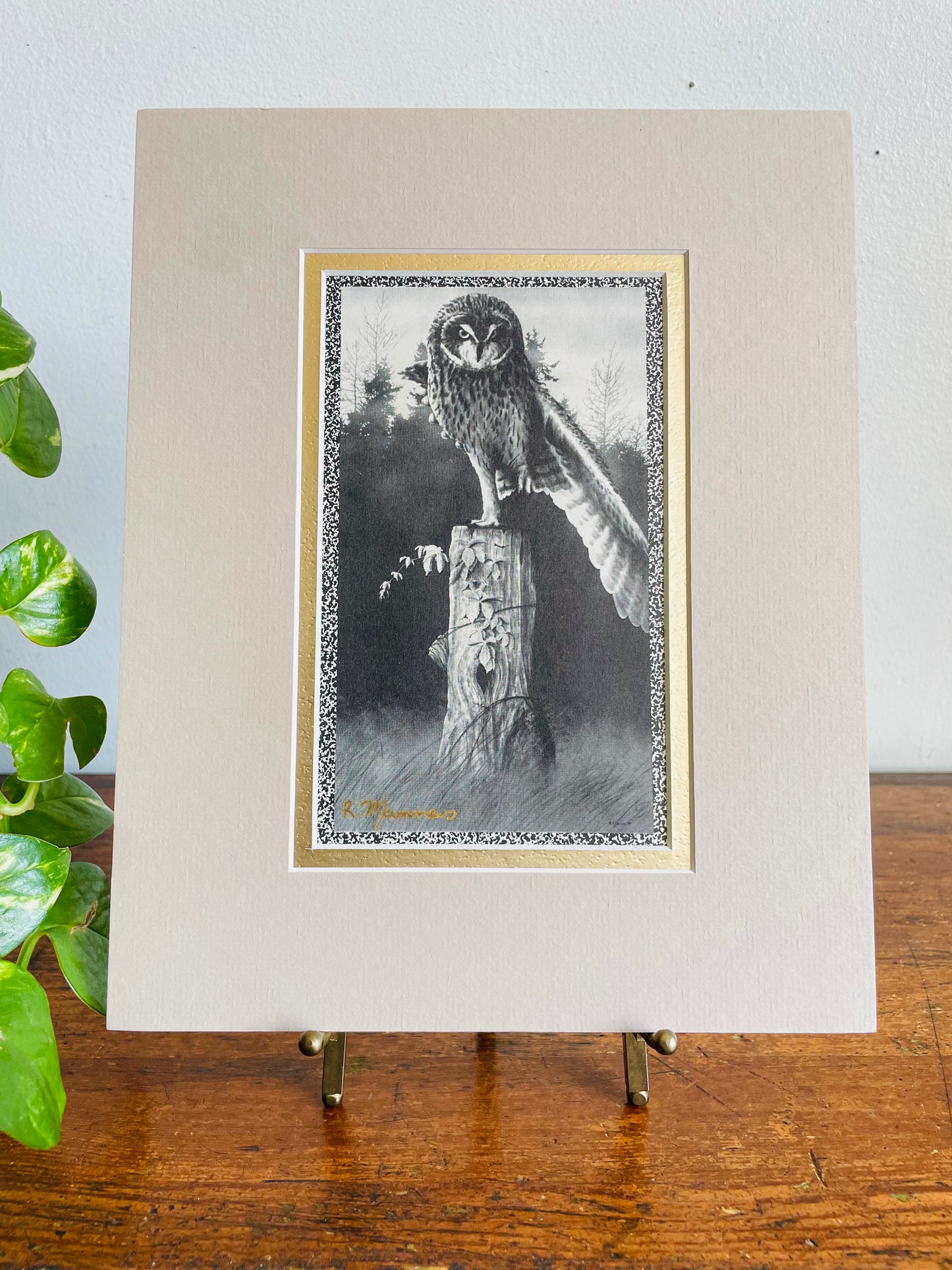Vintage Black & White Photograph Print Picture of Owl on Tree Trunk with Forest Background - 8” x 10” - Matted & Ready to Frame