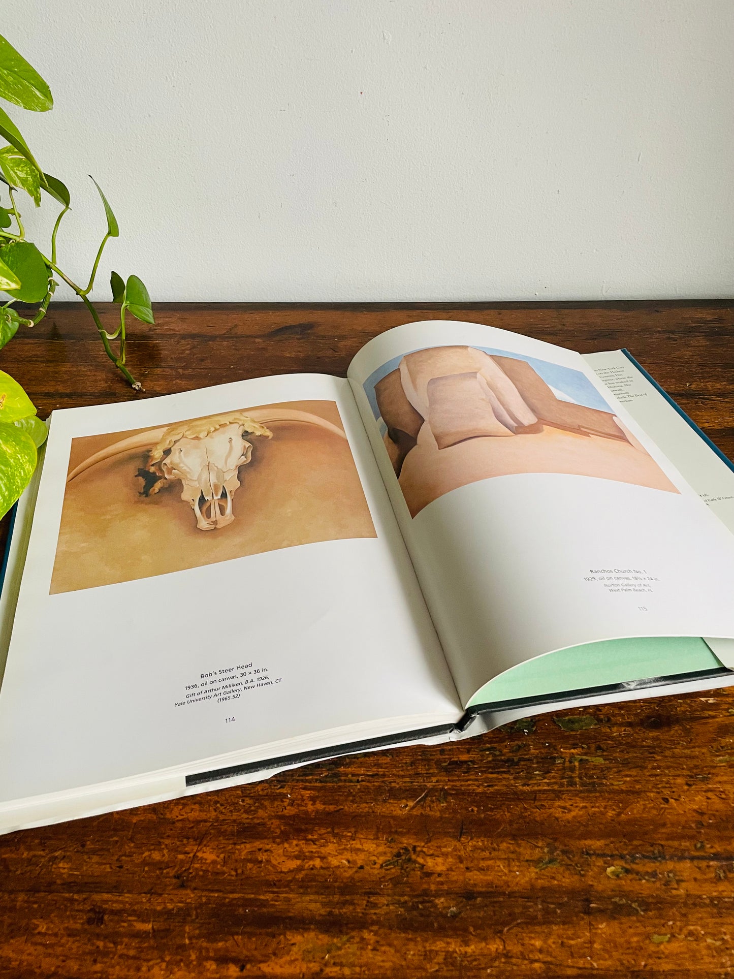 Vintage Georgia O'Keeffe Hardcover Coffee Table Book by Elizabeth Montgomery (1992)